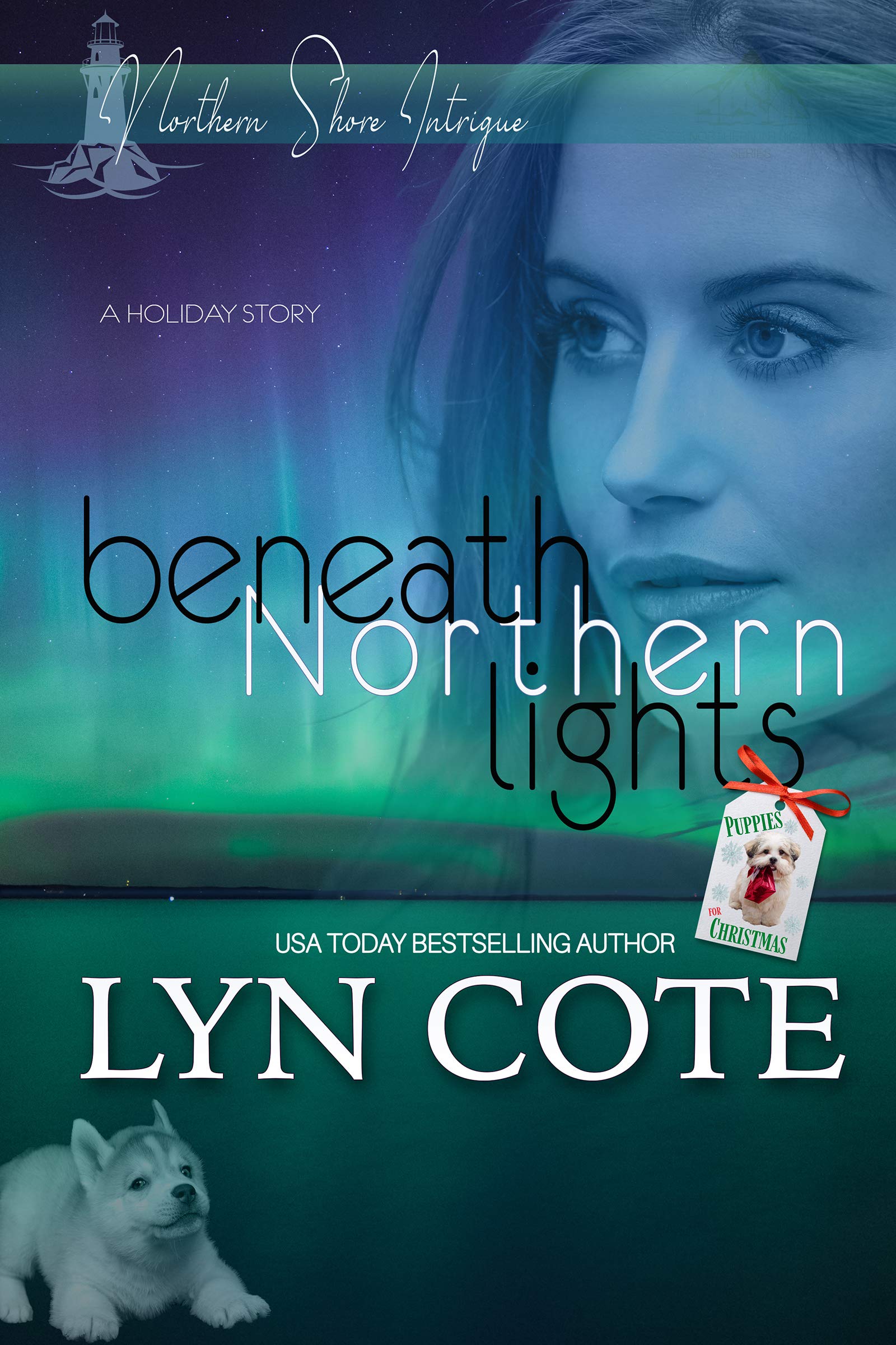 Beneath Northern Lights (Northern Shore Intrigue 4) by Lyn Cote