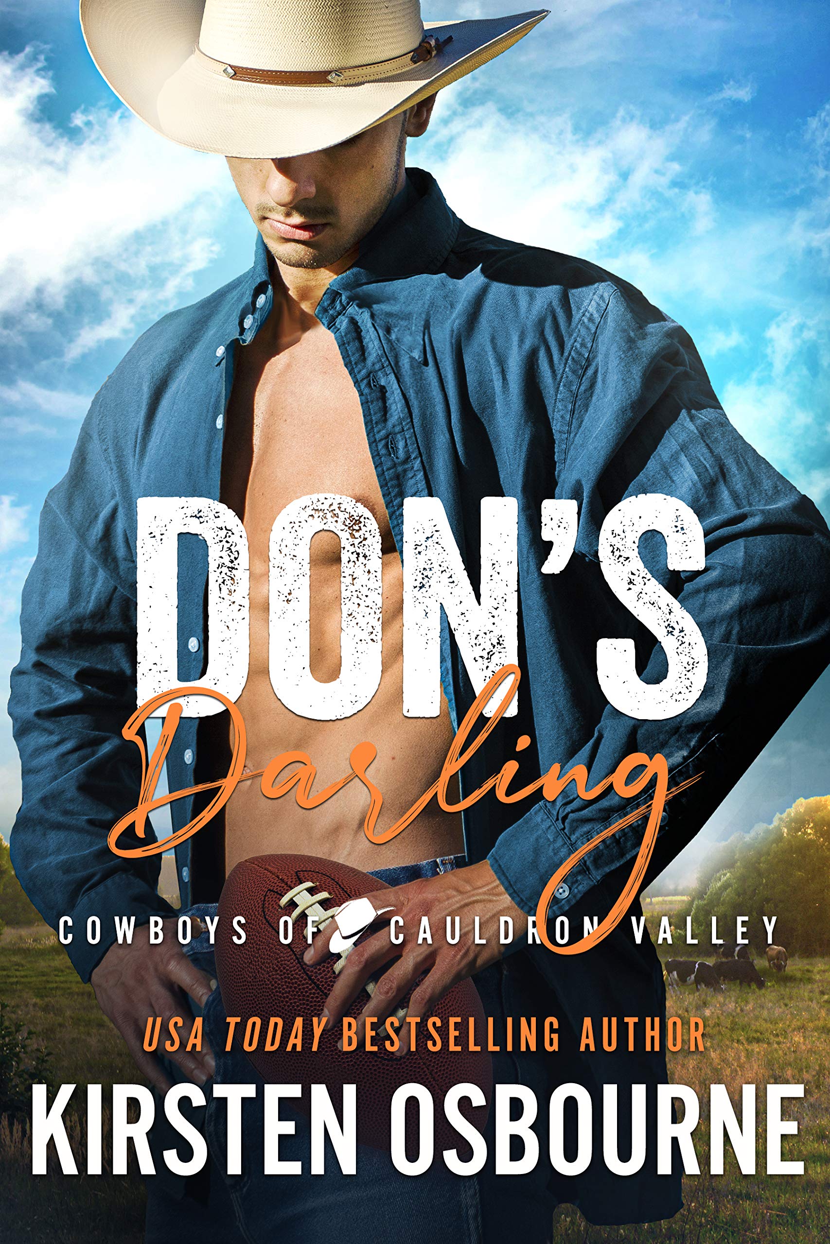 Don's Darling book cover