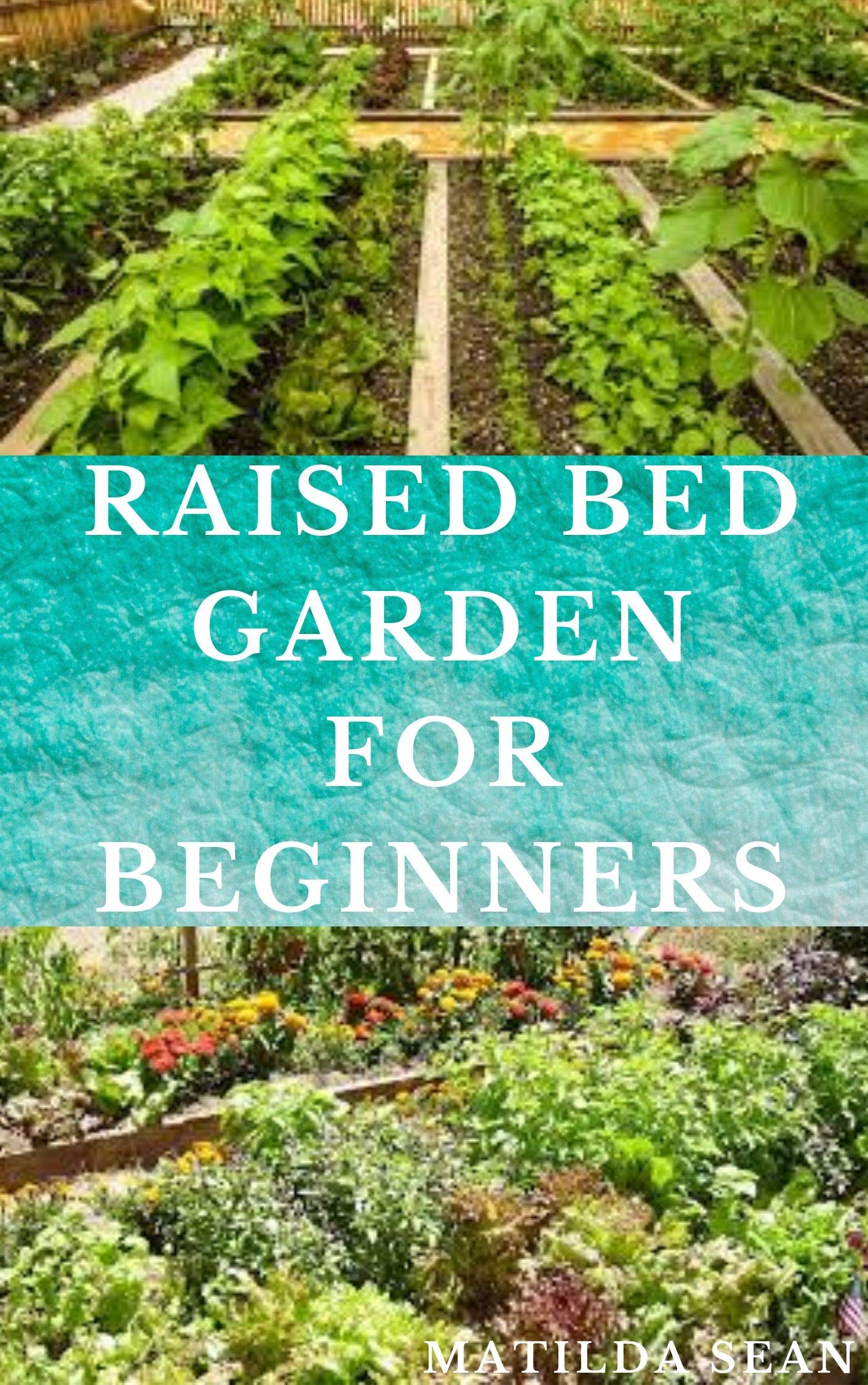 RAISED BED GARDEN FOR BEGINNERS Step by steps guides on how to start