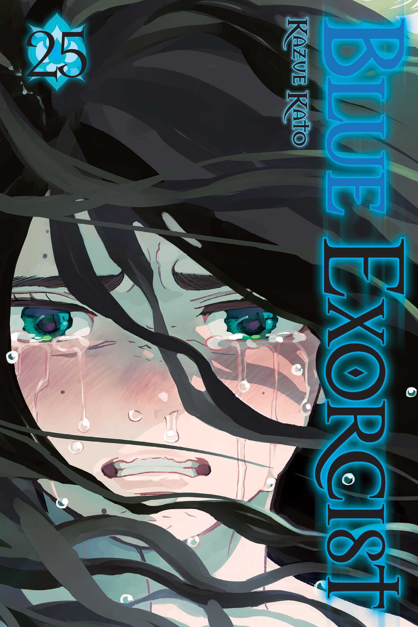 Blue Exorcist, Vol. 25 book cover
