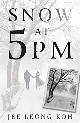 Snow at 5 PM book cover