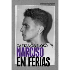 Narciso em férias book cover