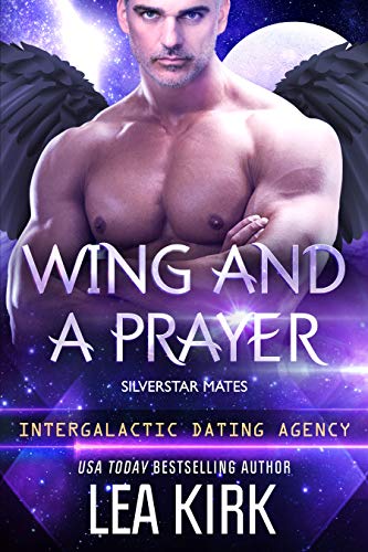 Wing and a Prayer book cover
