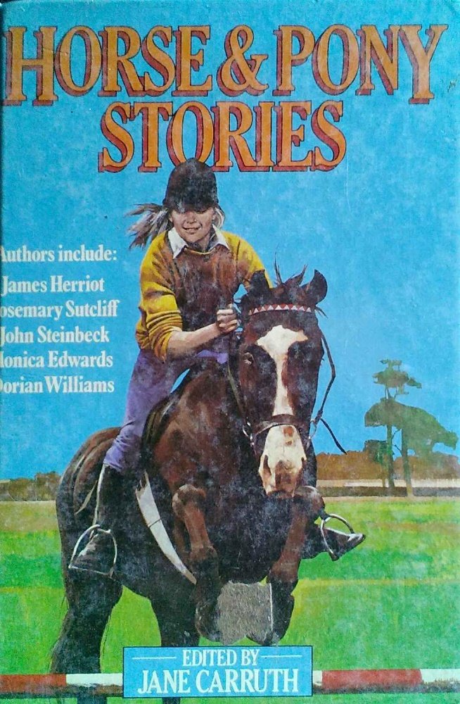 Horse and Pony Stories book cover