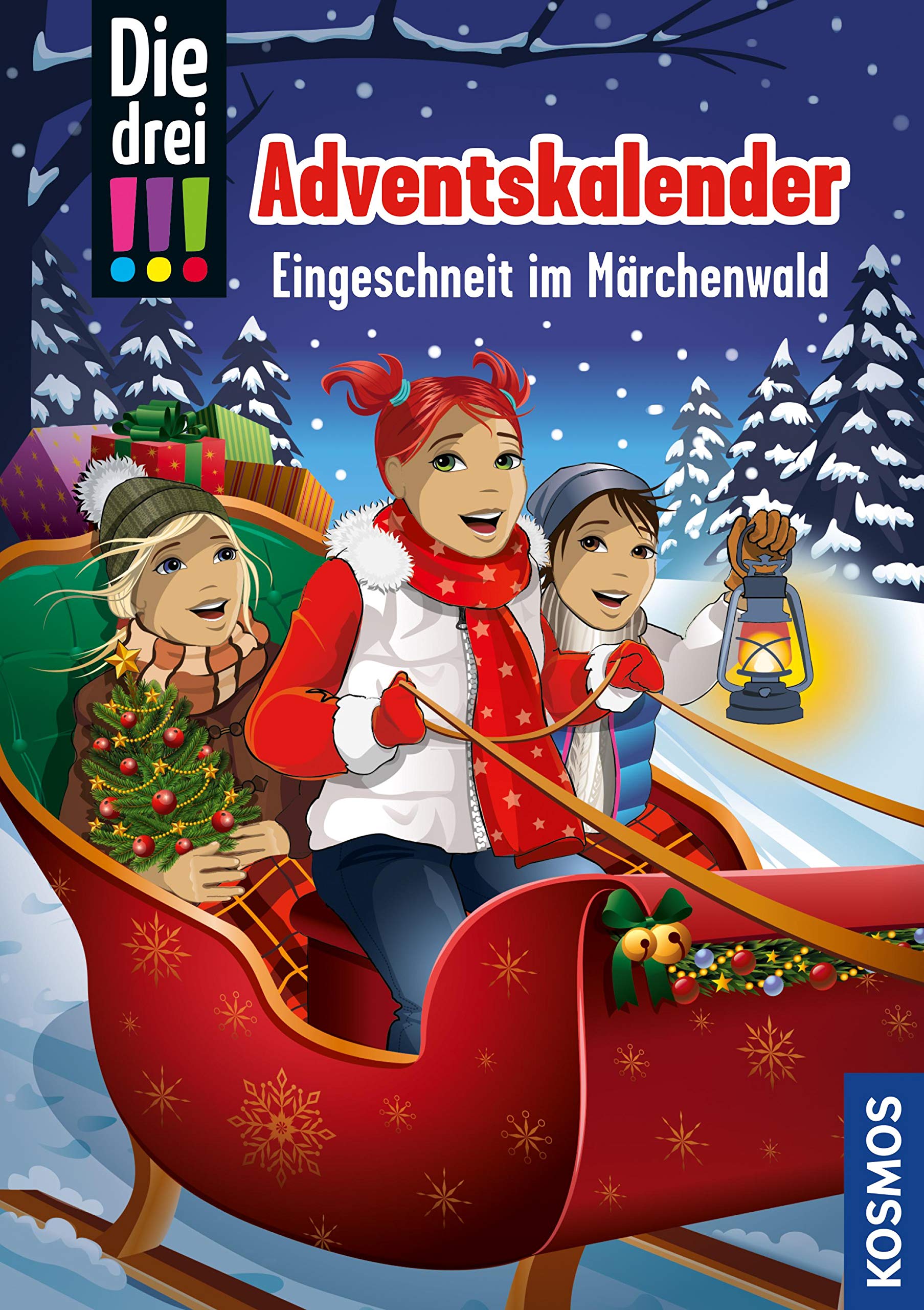 Eingeschneit im Märchenwald book cover
