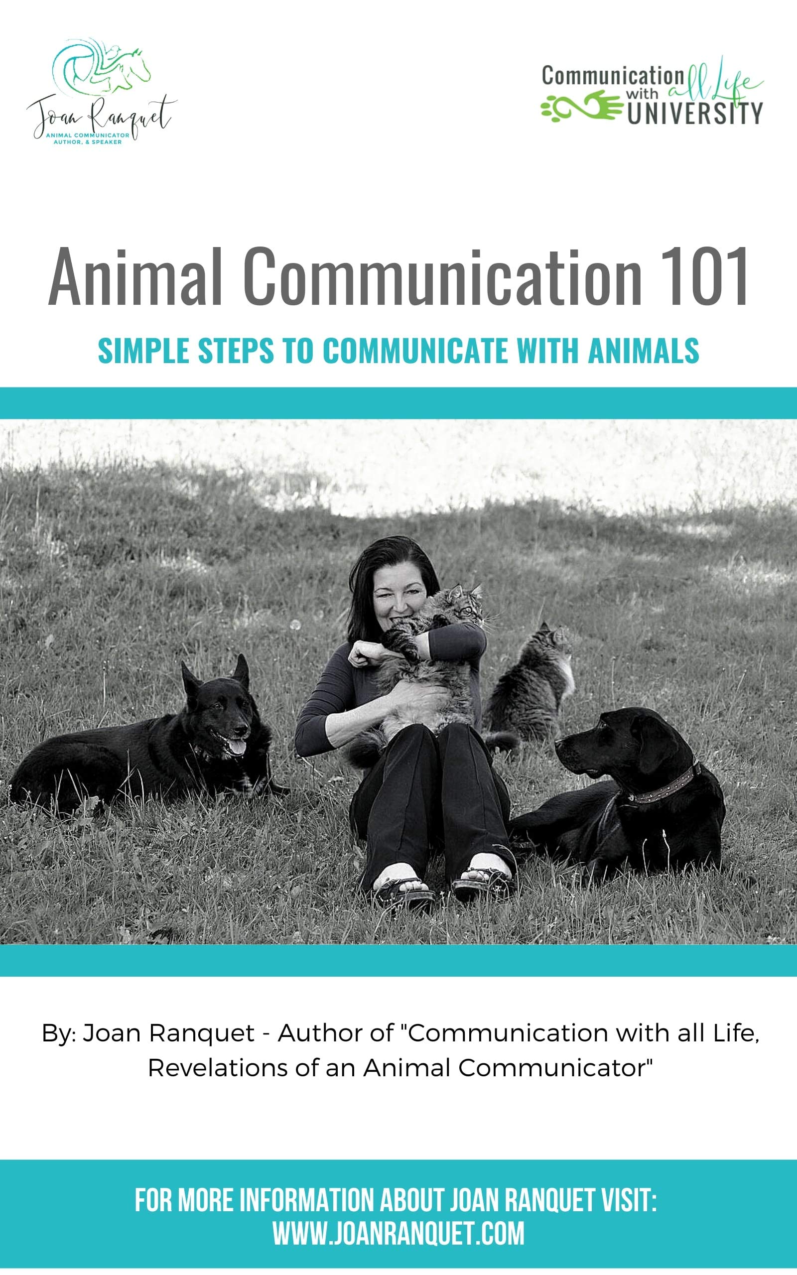 Animal Communication 101:: Simple Steps for Communicating with Animals