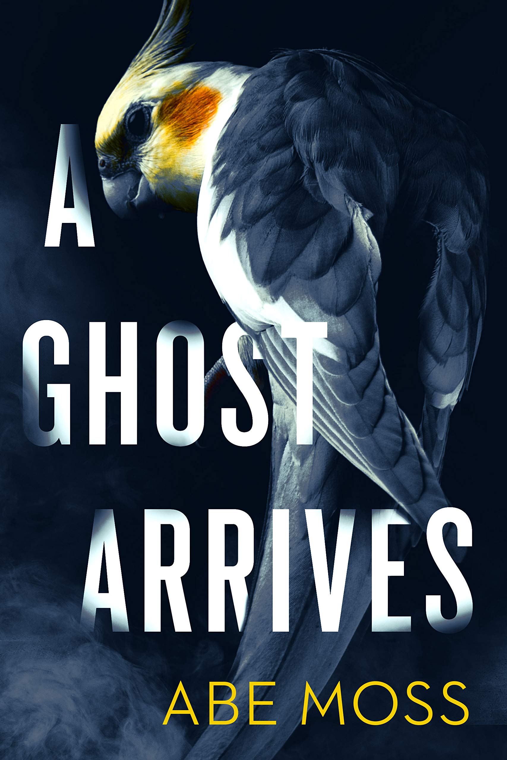 A Ghost Arrives book cover