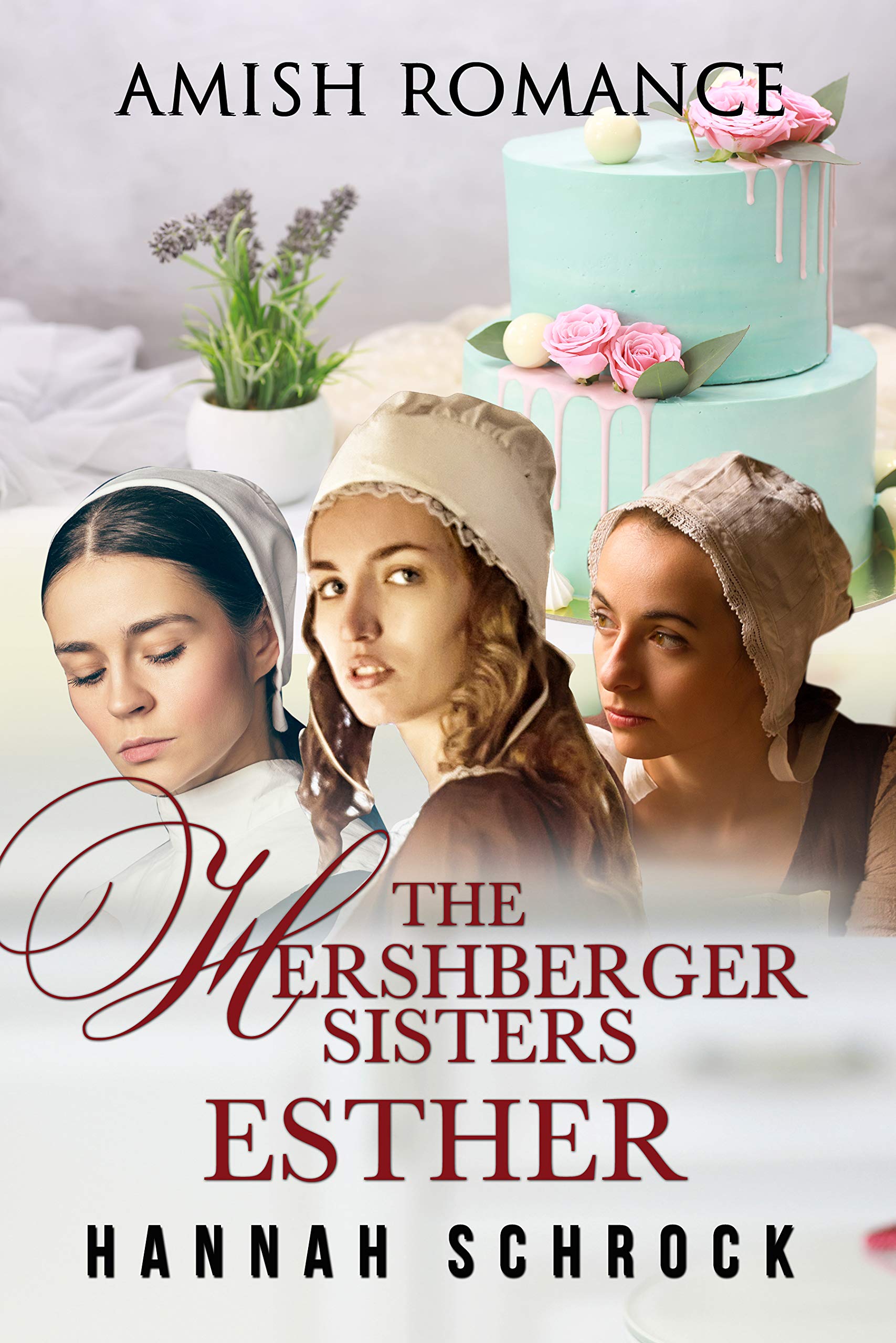 The Hershberger Sisters book cover
