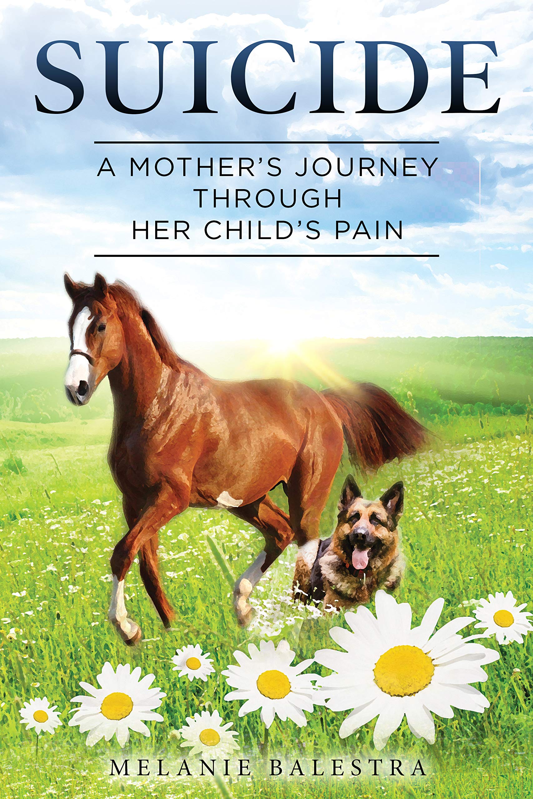 Suicide: A Mother's Journey Through Her Child's Pain by Melanie ...