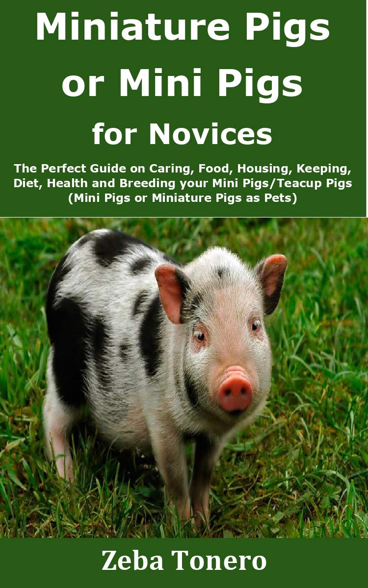 Miniature Pigs or Mini Pigs for Novices The Perfect Guide on Caring