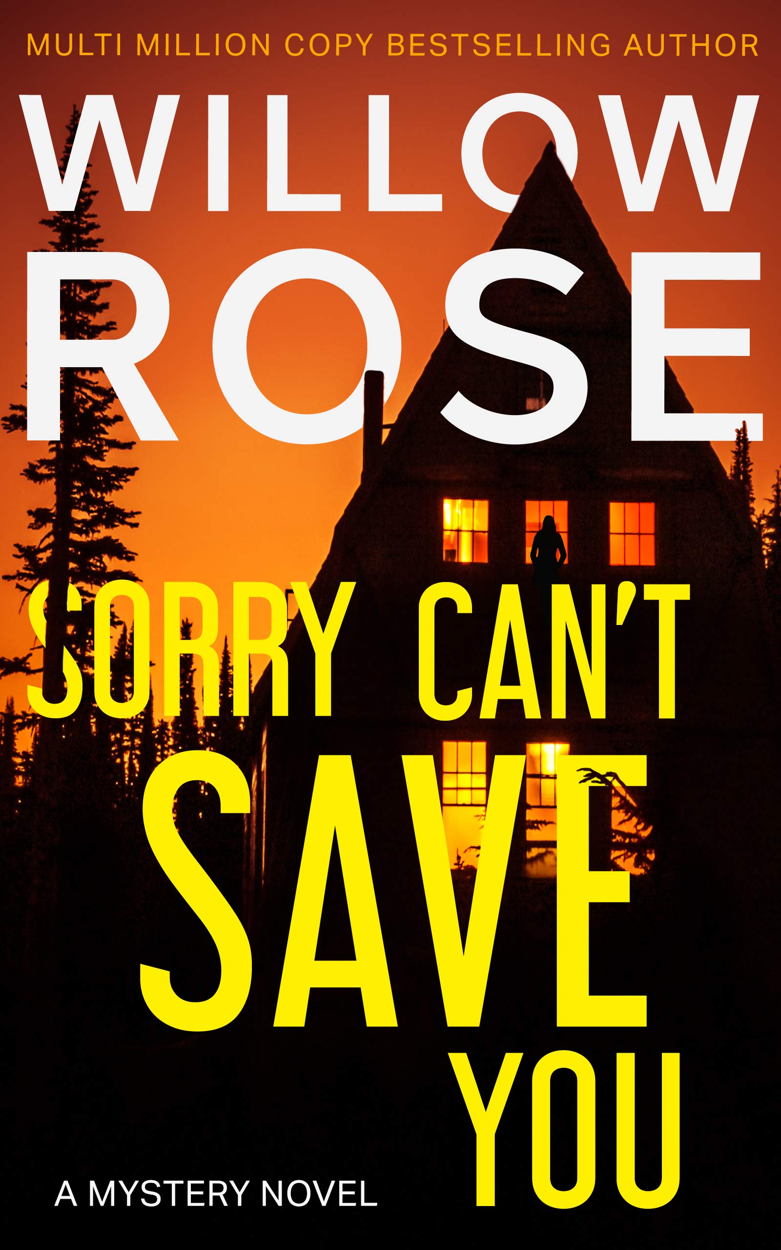 Sorry Can't Save You book cover