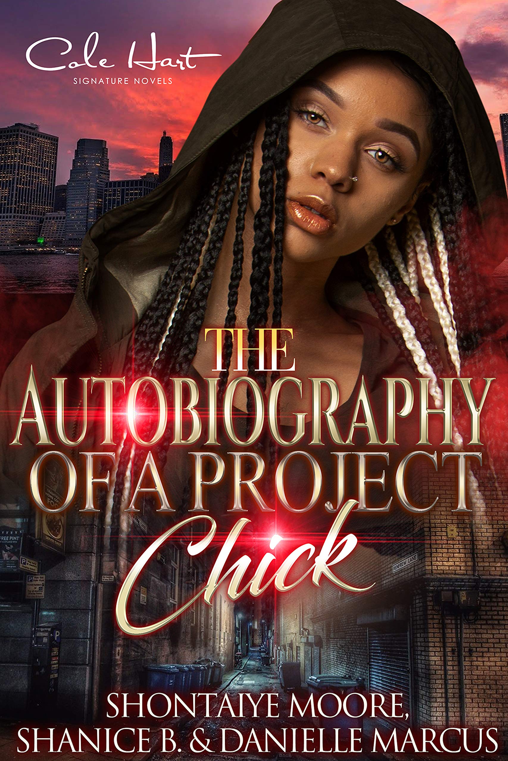 The Autobiography Of A Project Chick book cover
