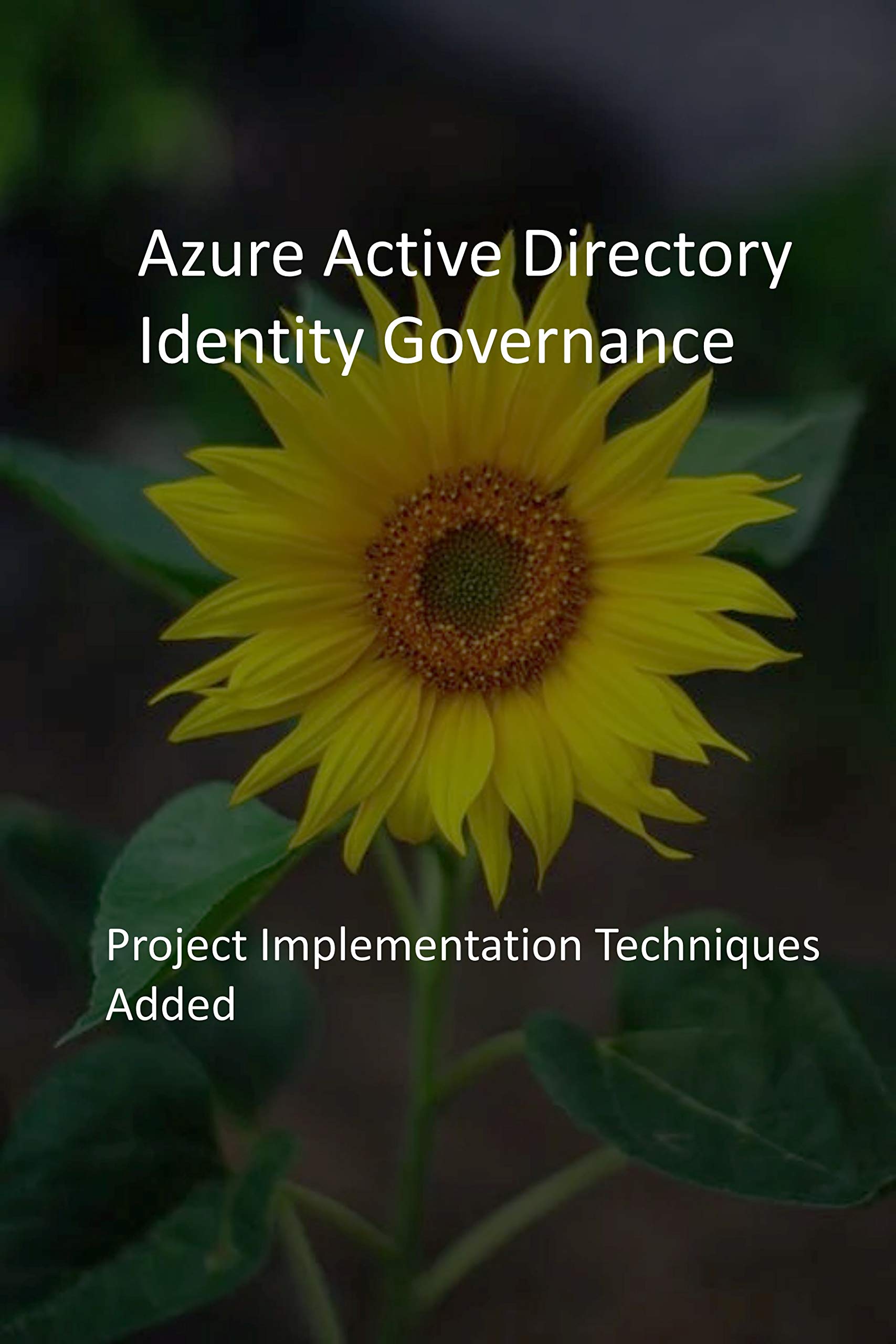 Azure Active Directory Identity Governance: Project Implementation ...