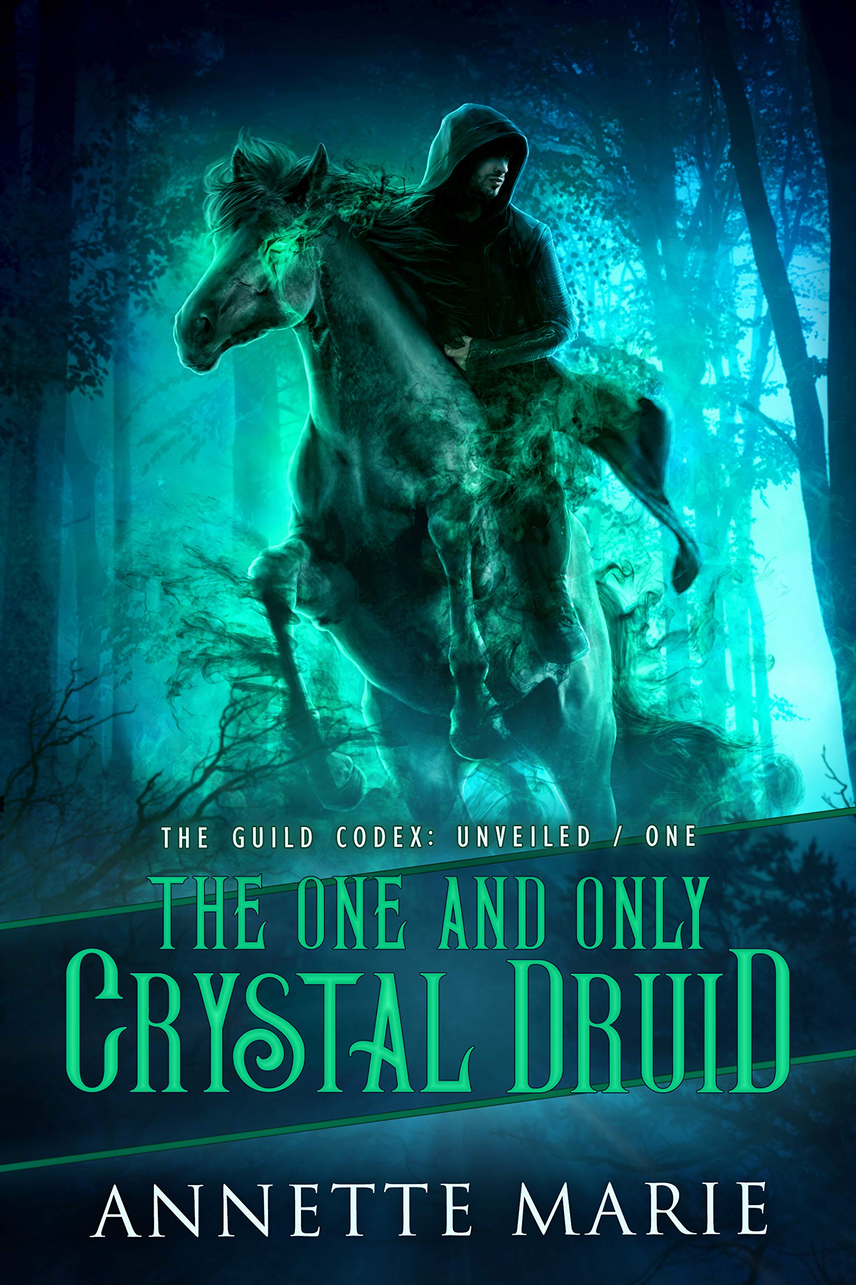 The One and Only Crystal Druid (The Guild Codex: Unveiled, #1)