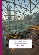 Cienie book cover