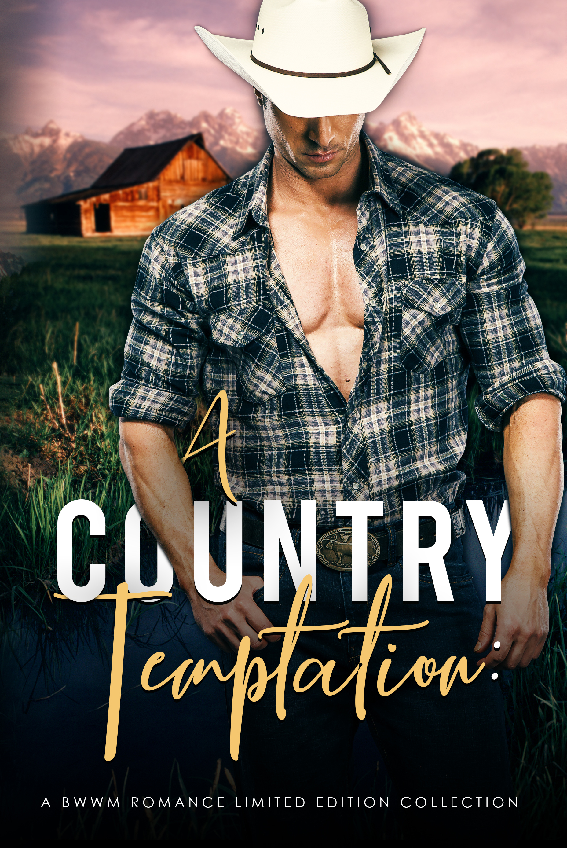A Country Temptation book cover