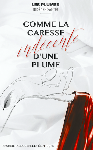 Comme la caresse indécente d'une plume book cover