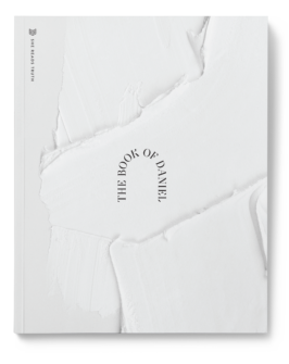 The Book of Daniel Study Book book cover