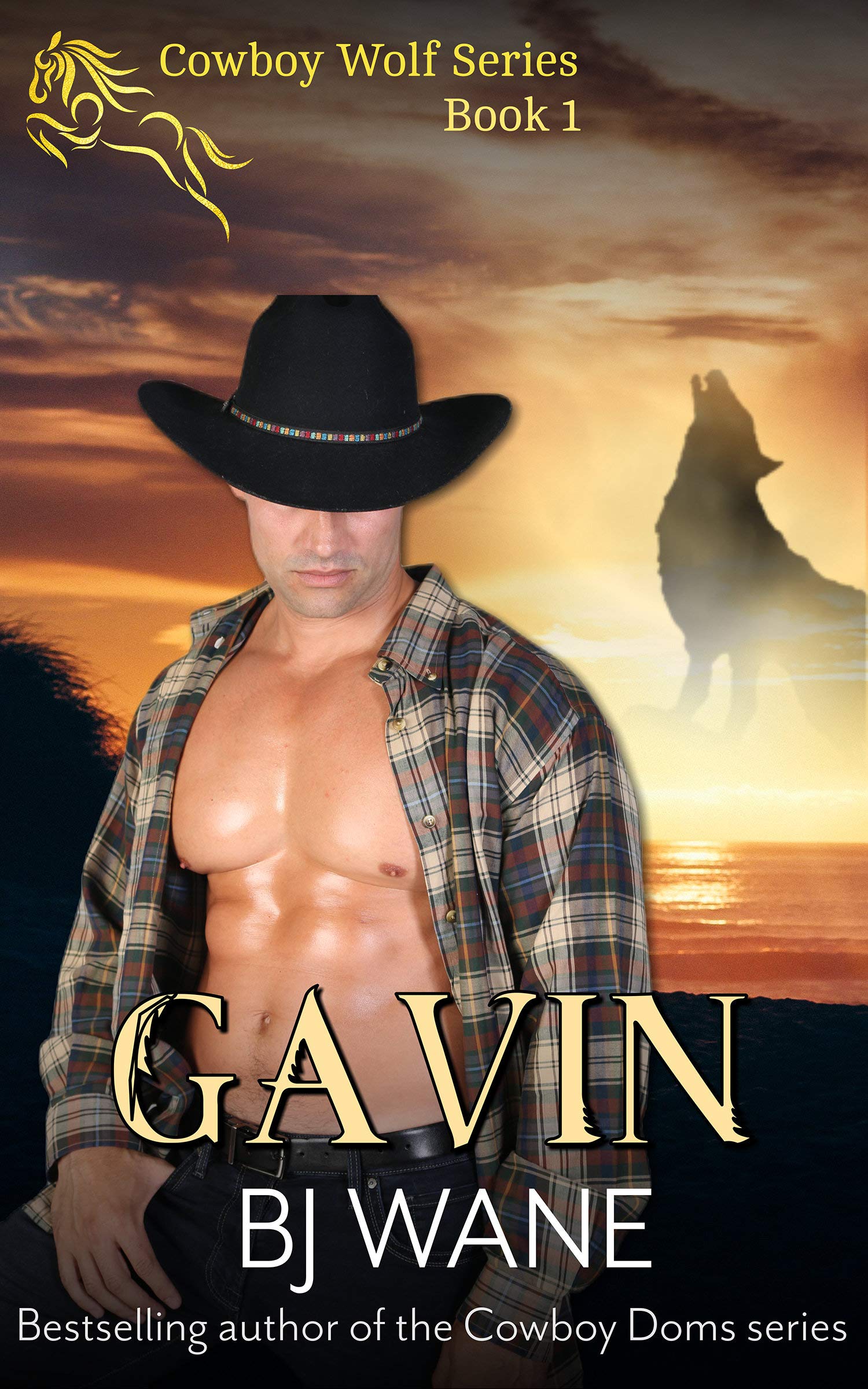Gavin book cover