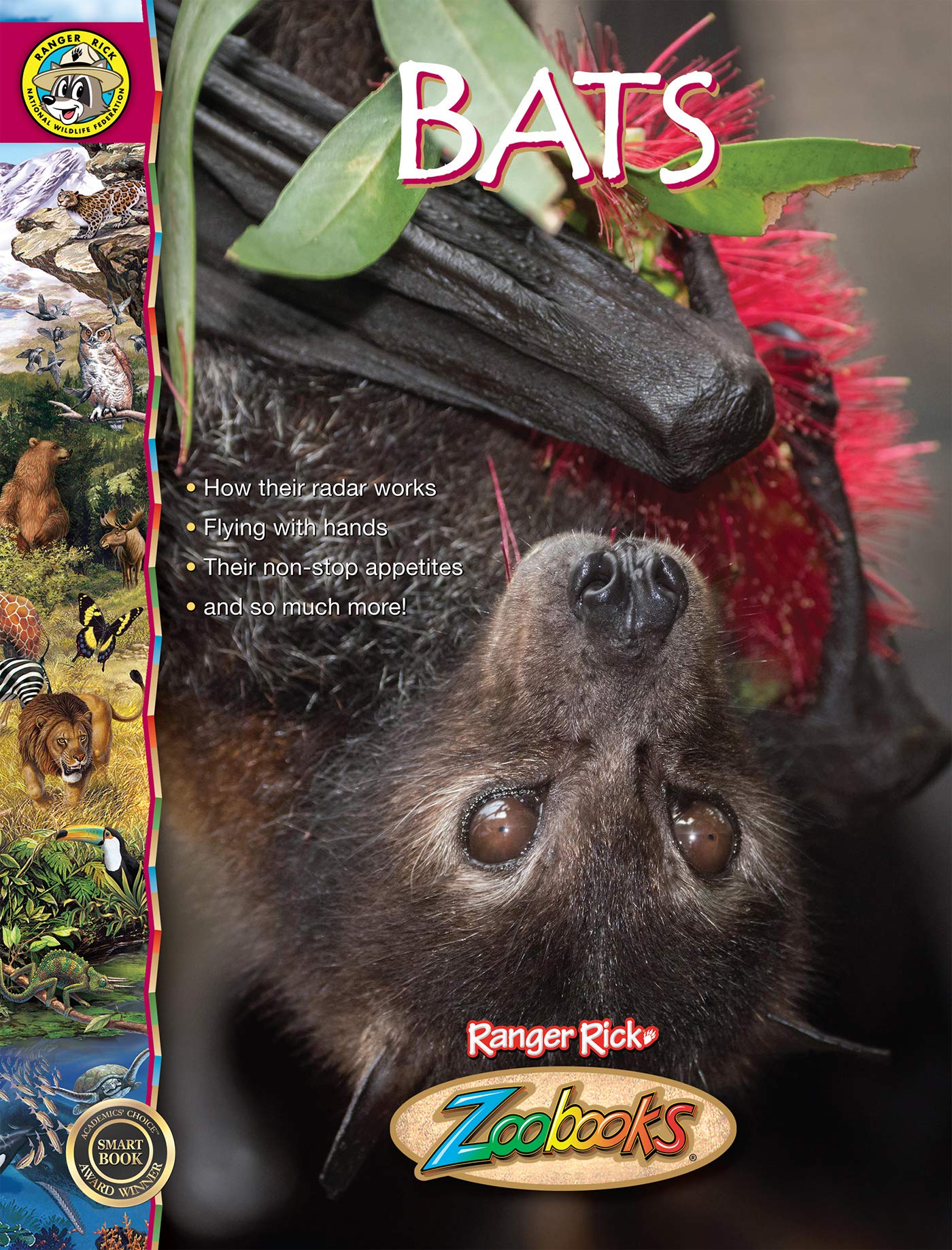 Zoobooks Bats by Linda C. Wood Goodreads