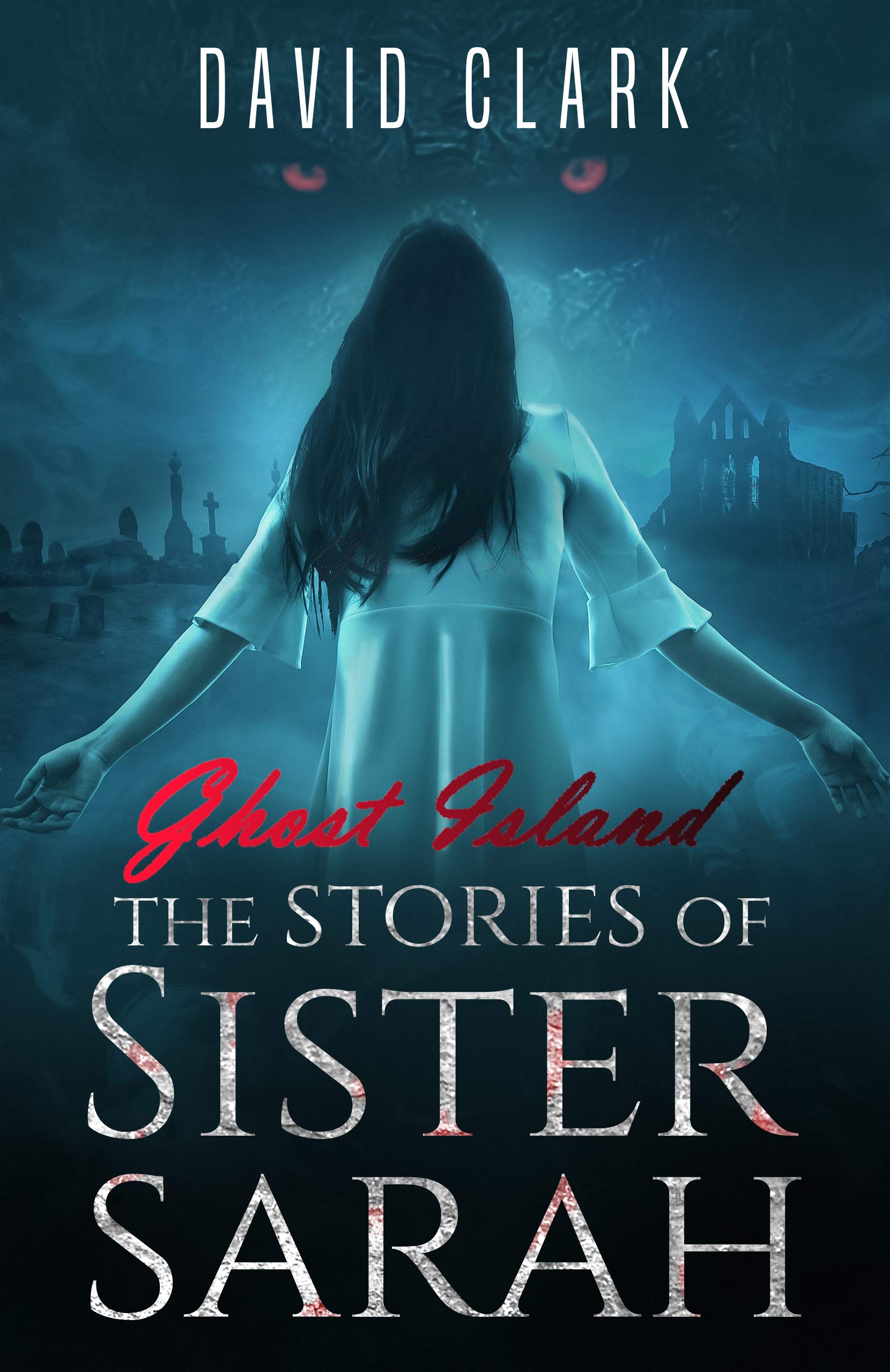 The Stories of Sister Sarah book cover