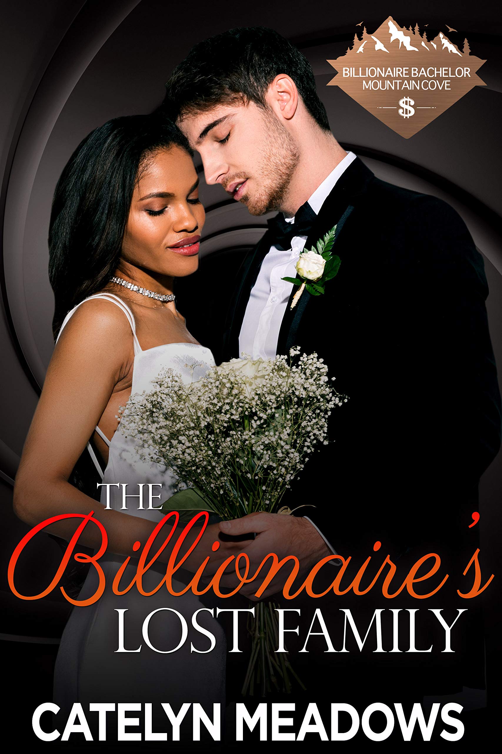 The Billionaire's Lost Family book cover