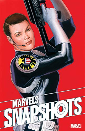 Civil War book cover