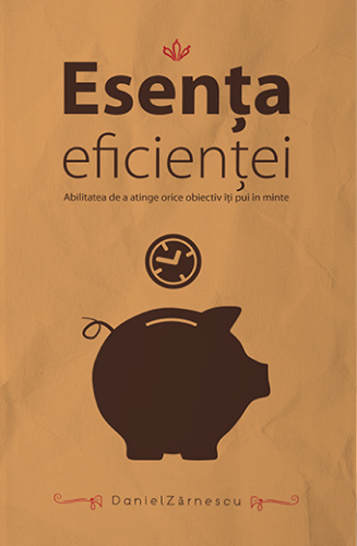 Esența Eficienței