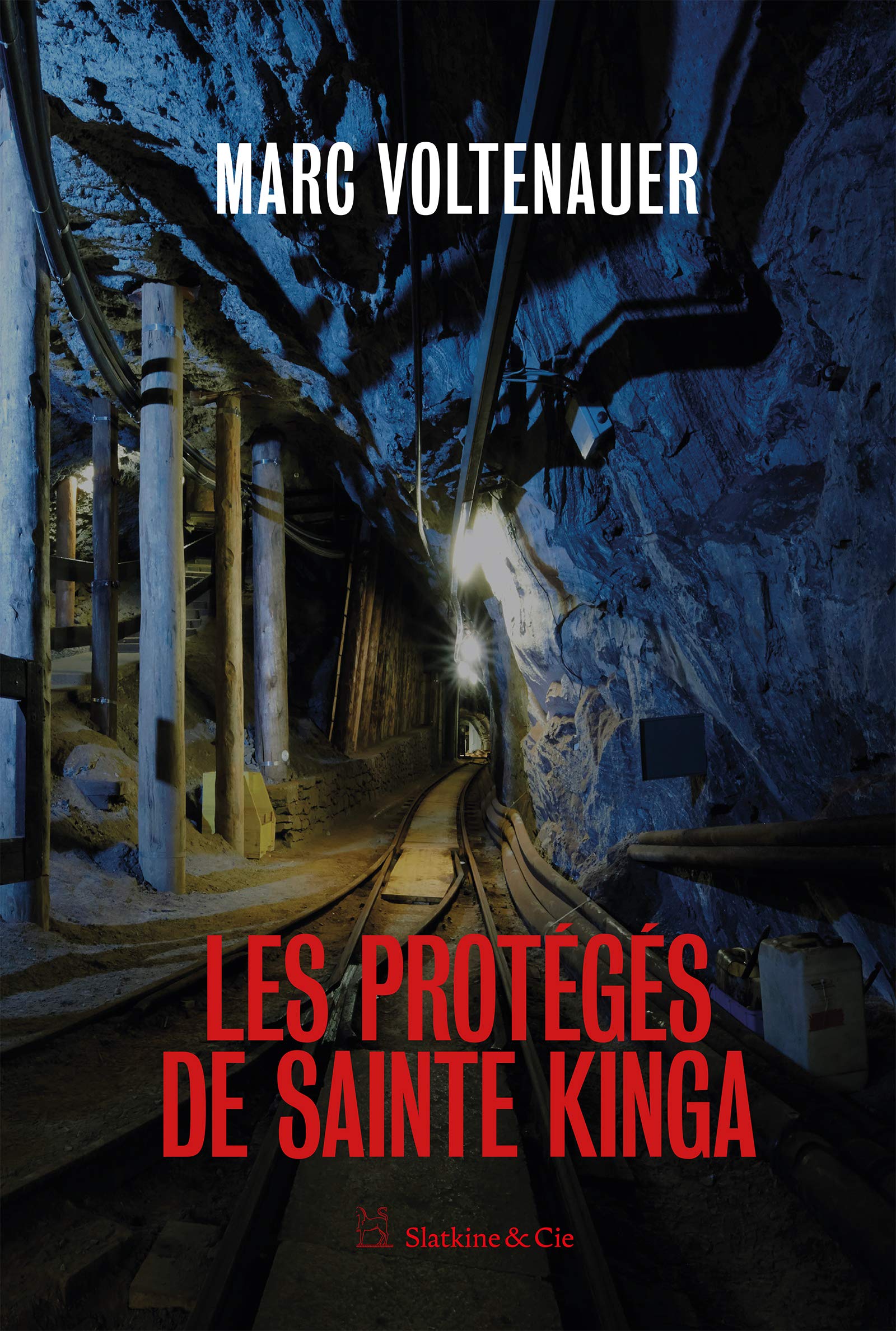 Les protégés de Sainte Kinga: Une enquête de l'inspecteur Andreas Auer - Tome 4