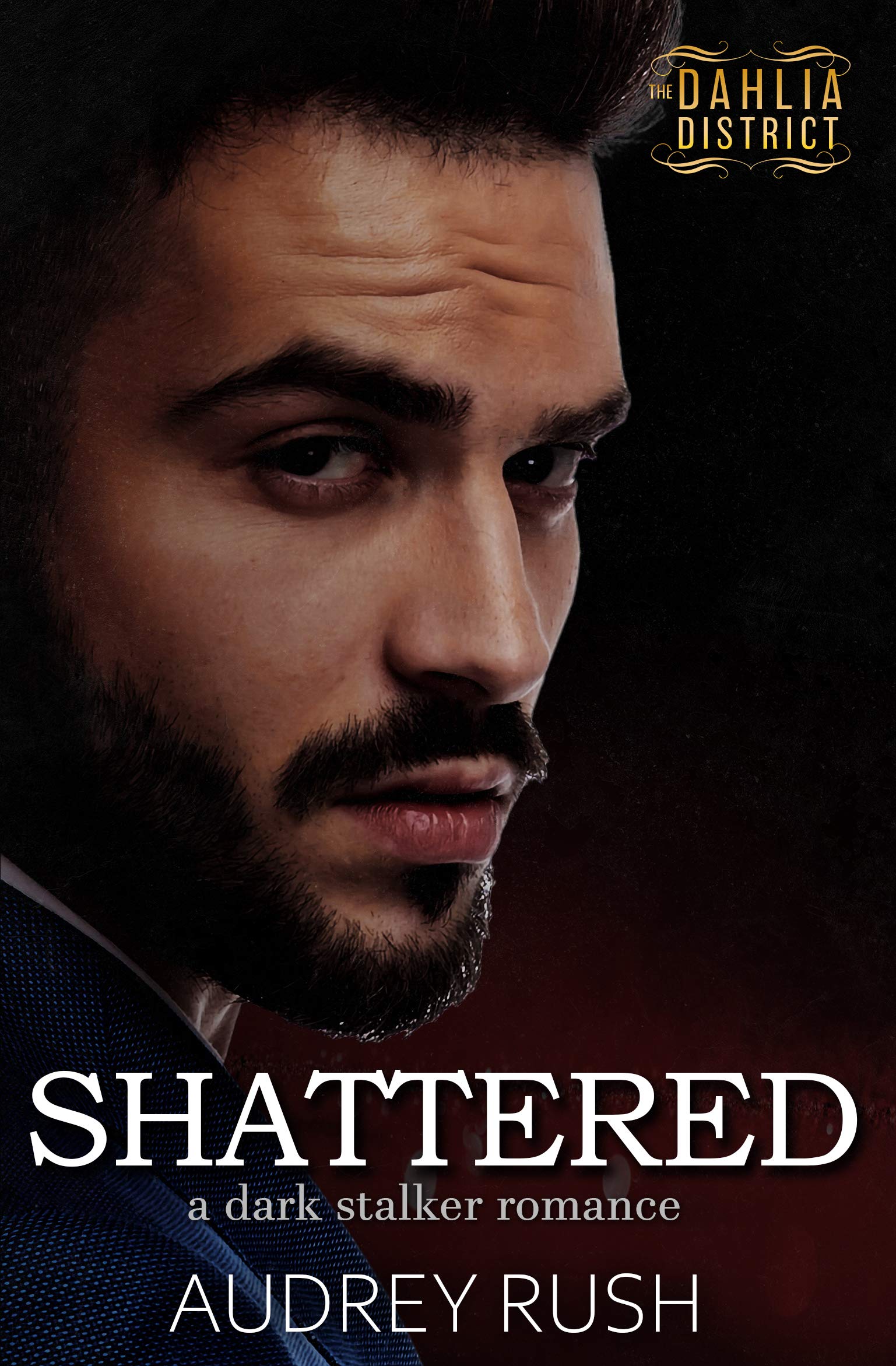 The Dahlia District book cover 2