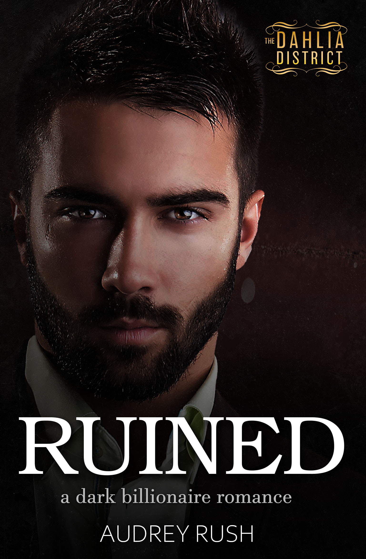 The Dahlia District book cover 1
