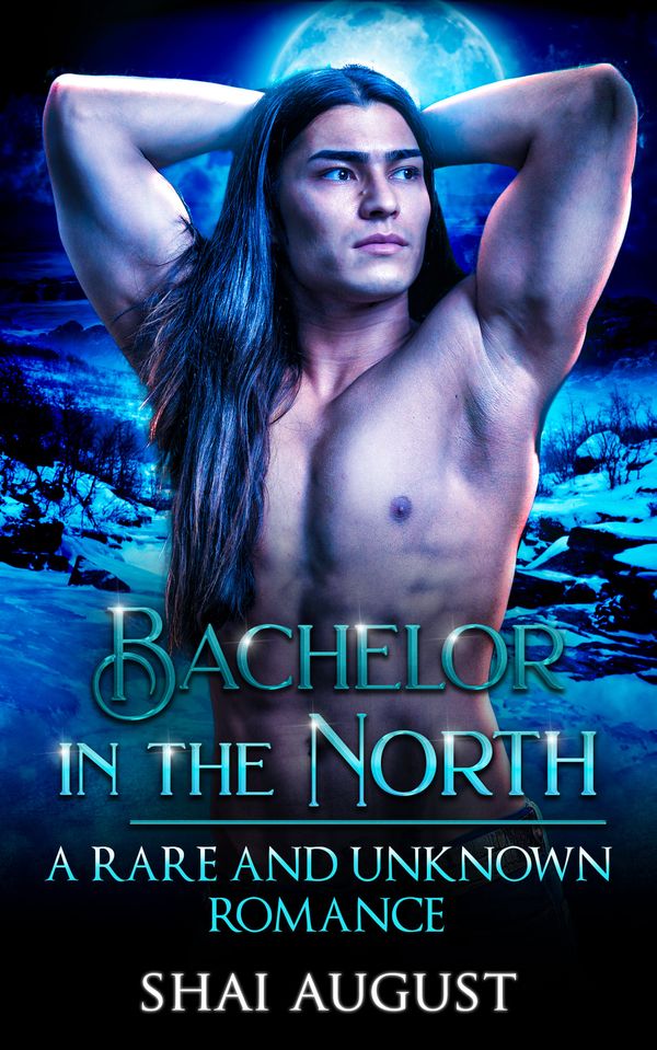 Bachelor in the North book cover