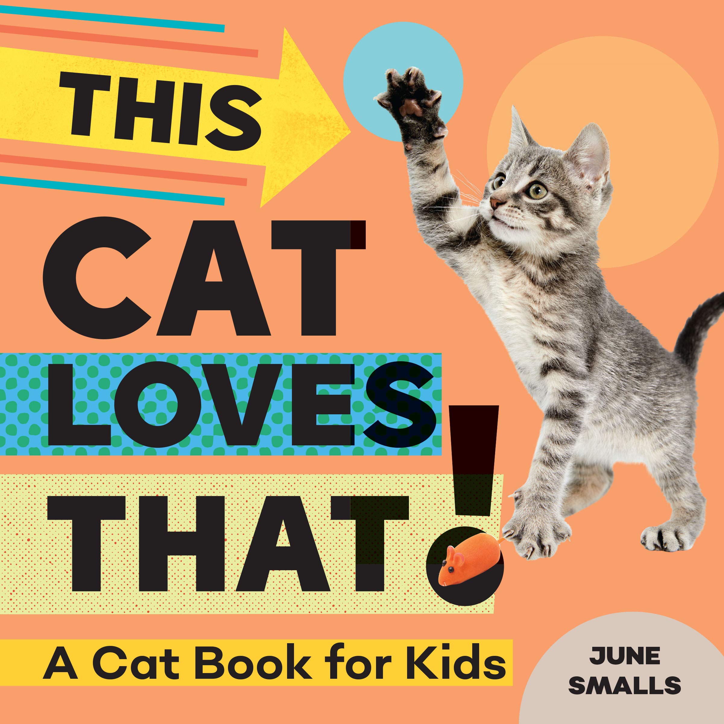This Cat Loves That! A Cat Book for Kids by June Smalls Goodreads