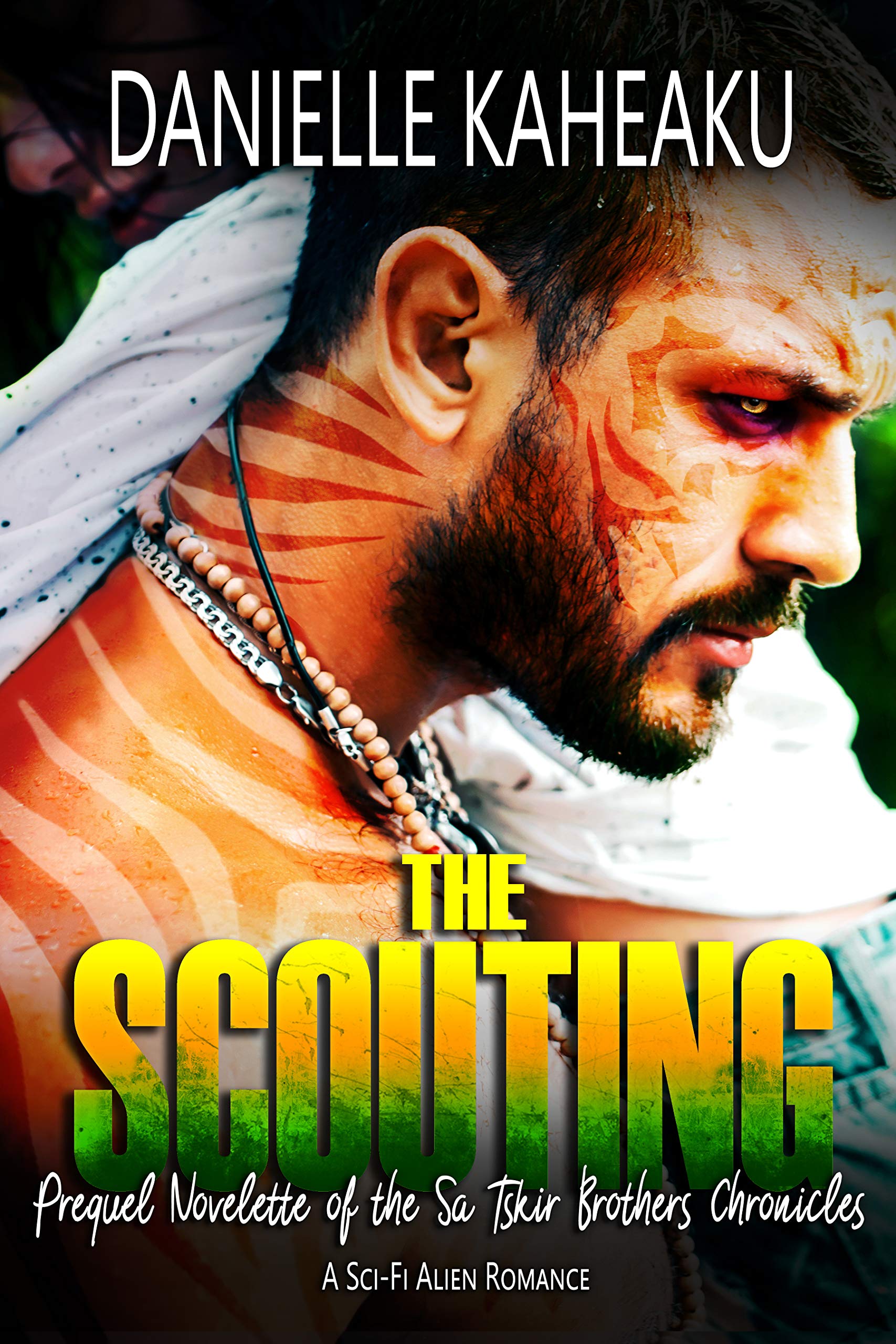 The Sa Tskir Brothers Chronicles book cover 3