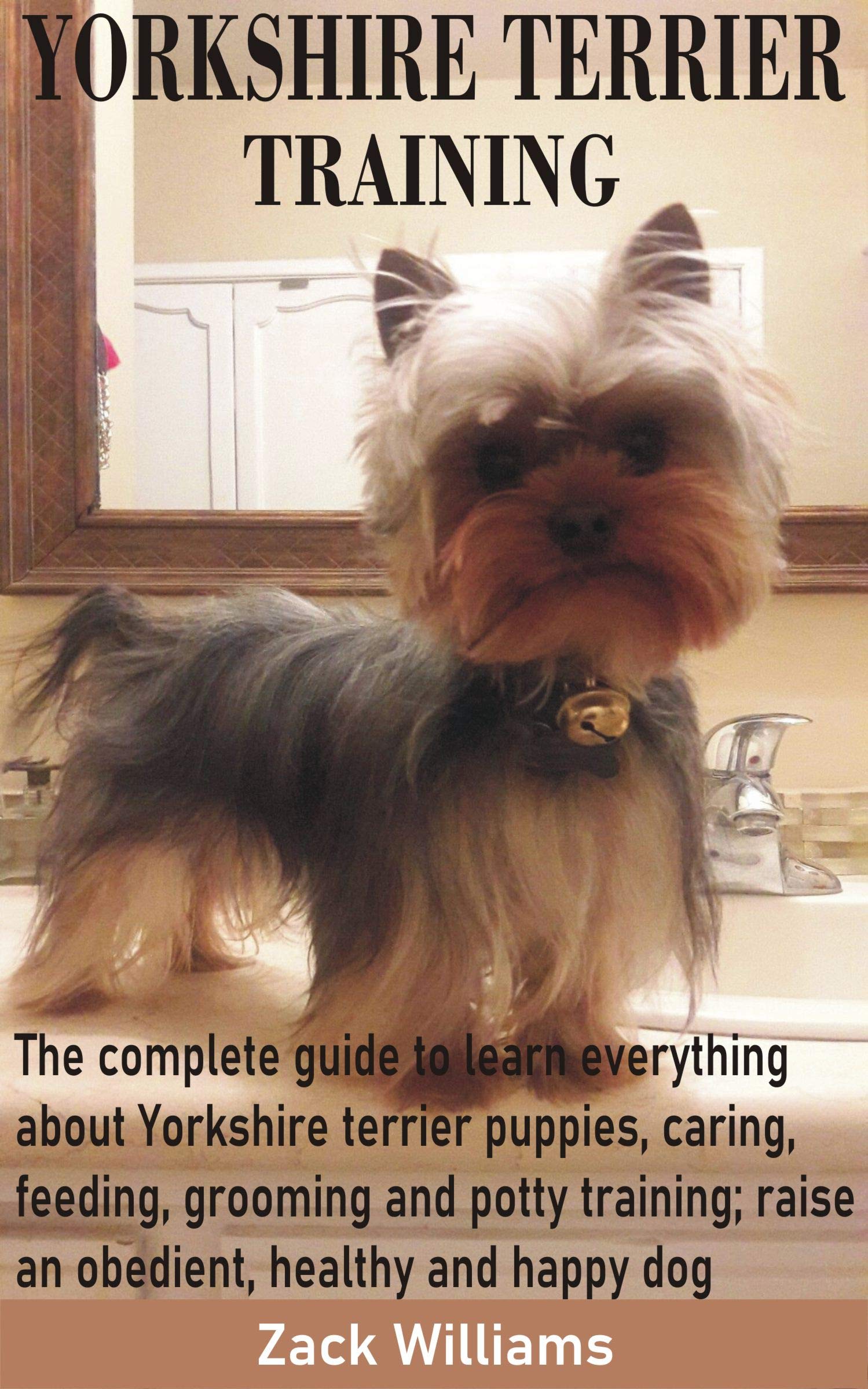 How Do You Potty Train A Yorkie Puppy
