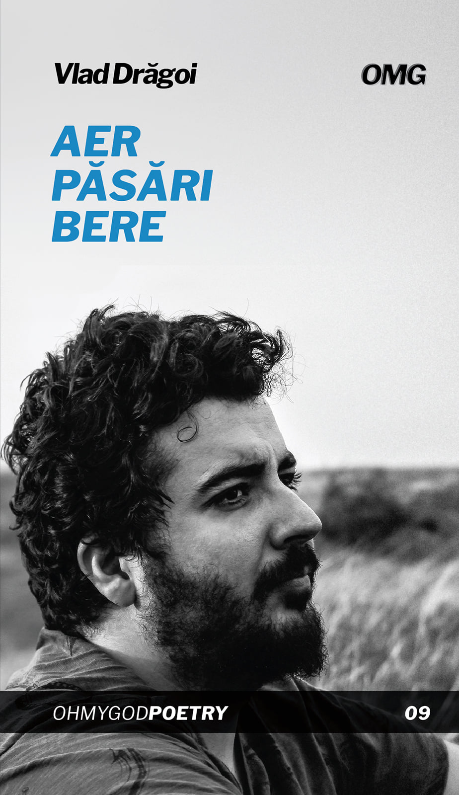 Aer, păsări, bere book cover