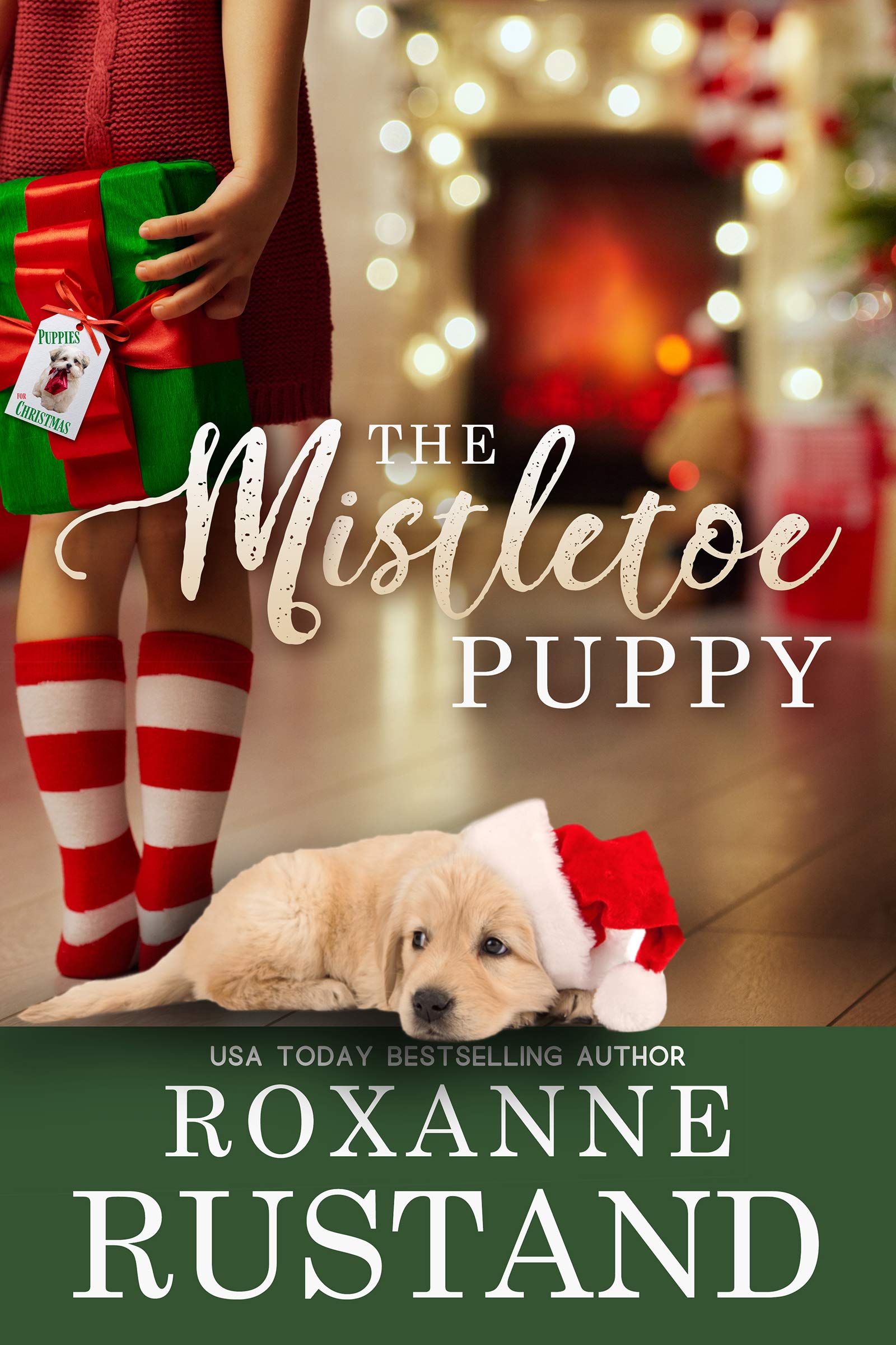 Coupled by Christmas book cover 1
