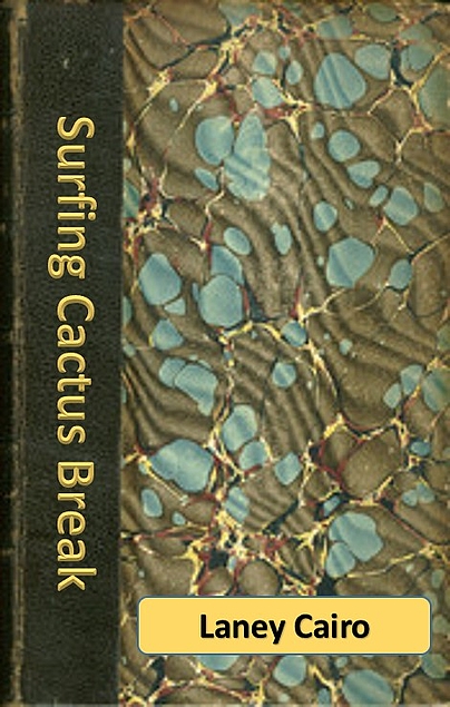 Surfing Cactus Break book cover