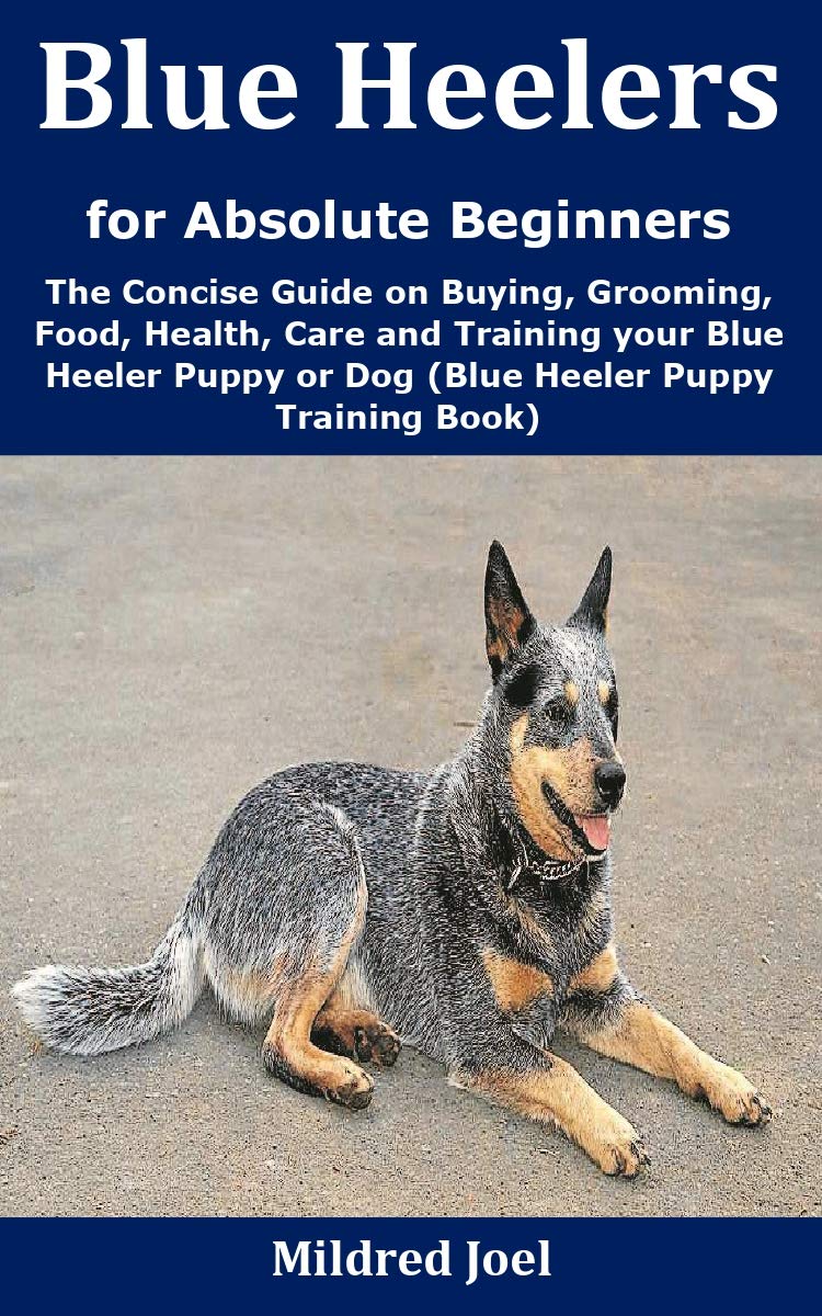 Blue Heelers for Absolute Beginners The Concise Guide on Buying, Grooming, Food, Health, Care