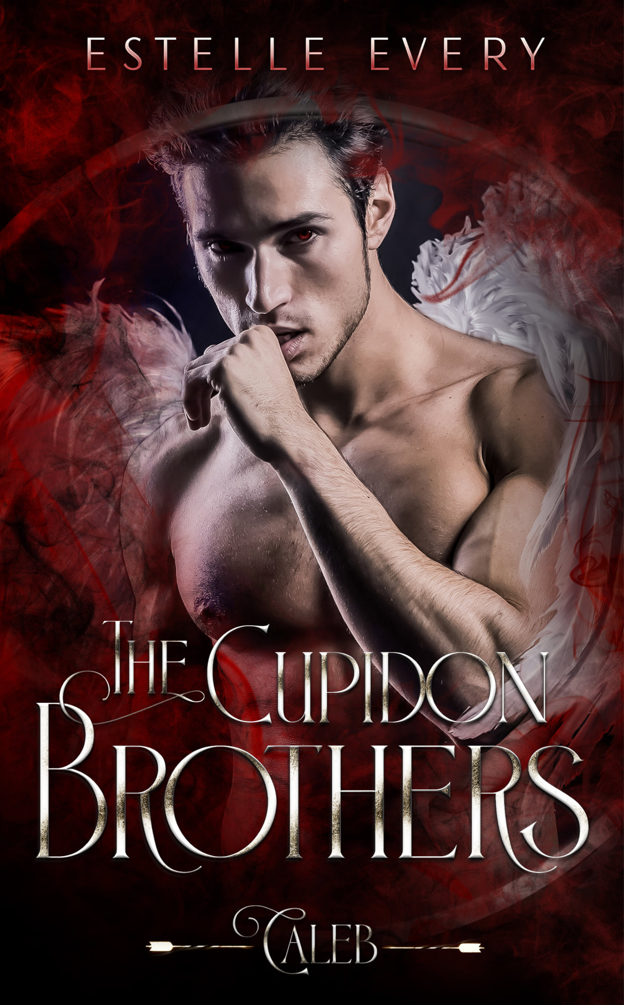 The Cupidon Brothers book cover