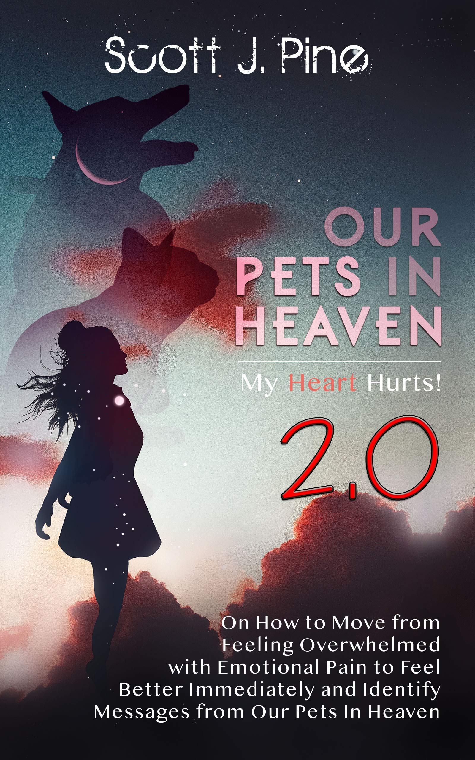 OUR PETS IN HEAVEN 2.0 A revolutionary approach to how to move from