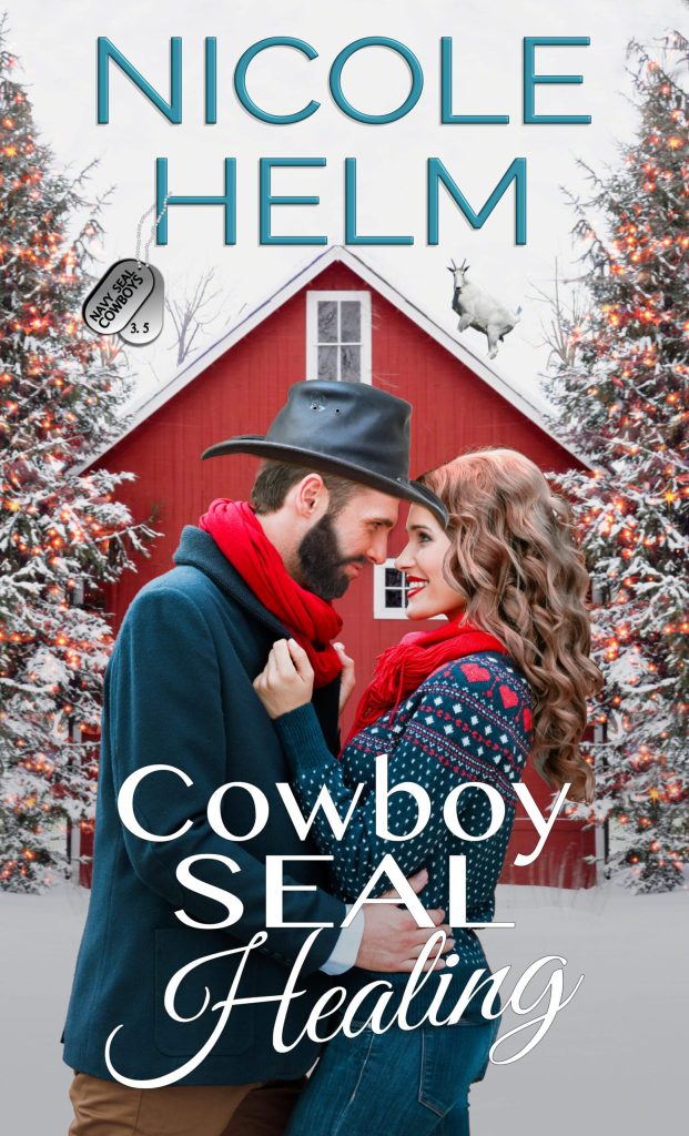 Cowboy SEAL Healing book cover