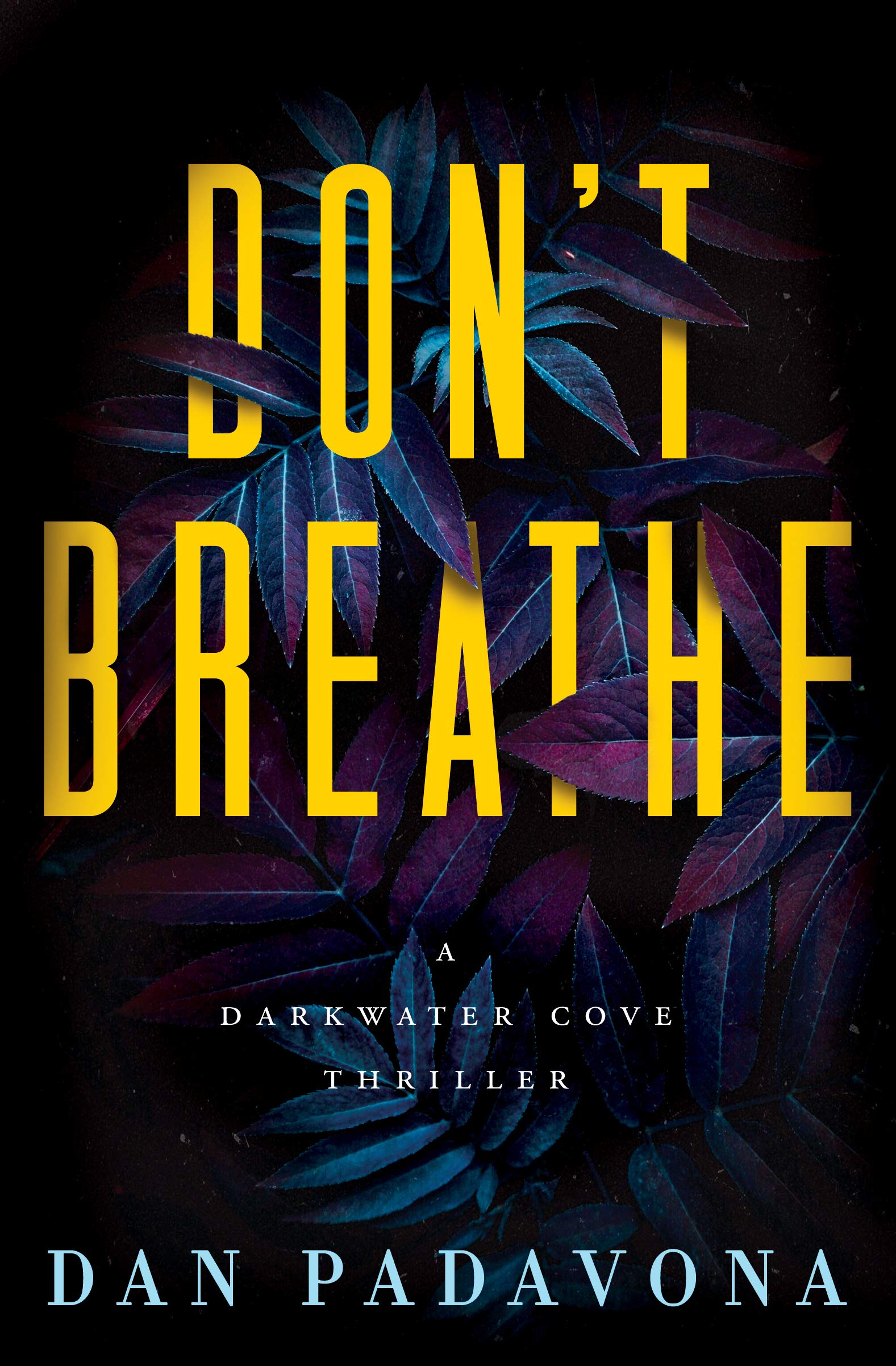 Don't Breathe book cover