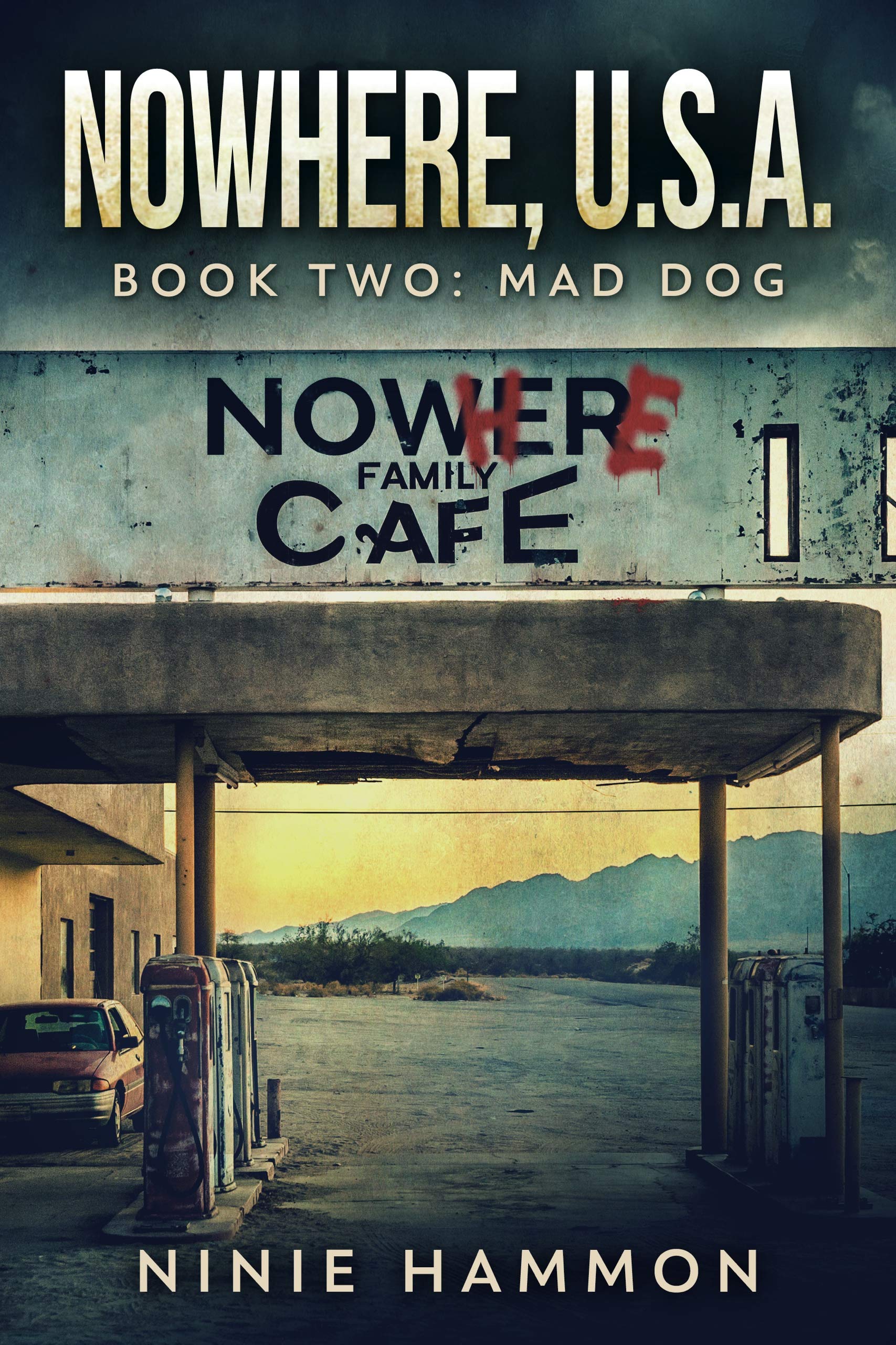 Nowhere, USA book cover 2