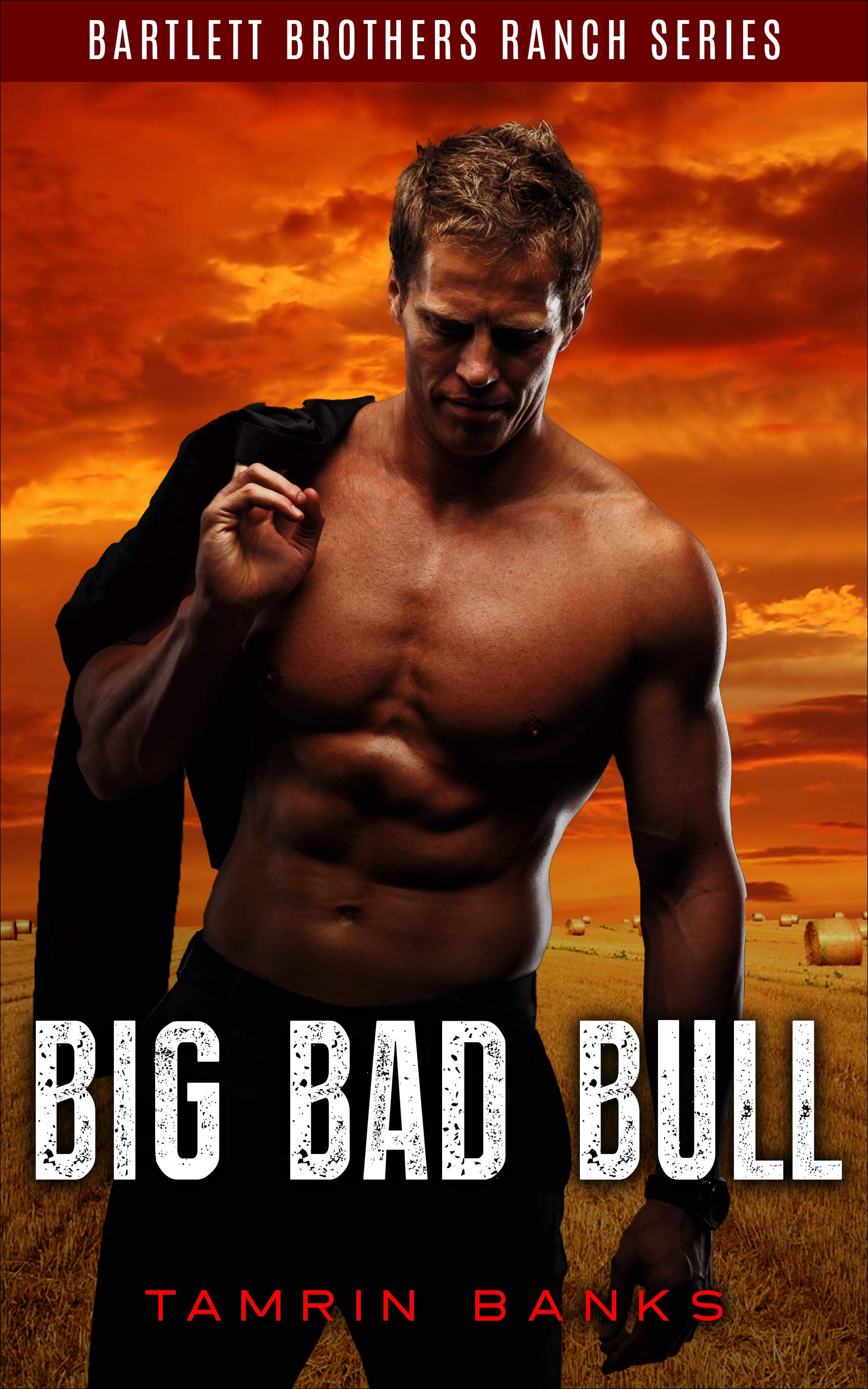 Big Bad Bull book cover