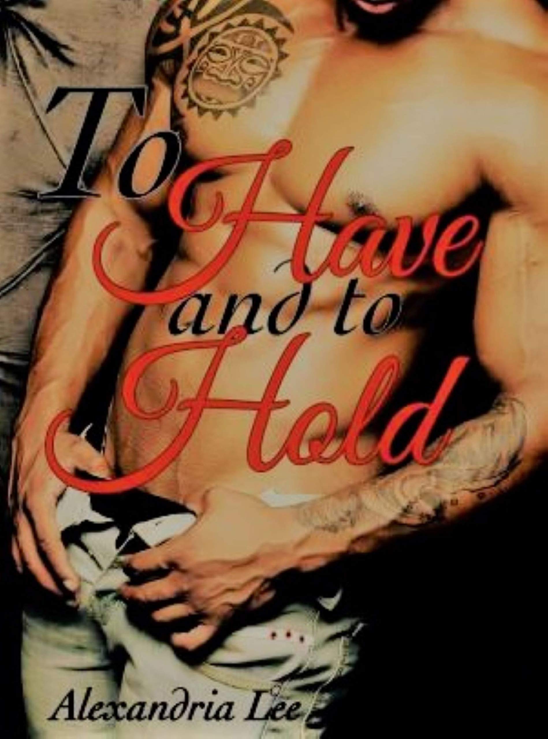 To Have and to Hold book cover