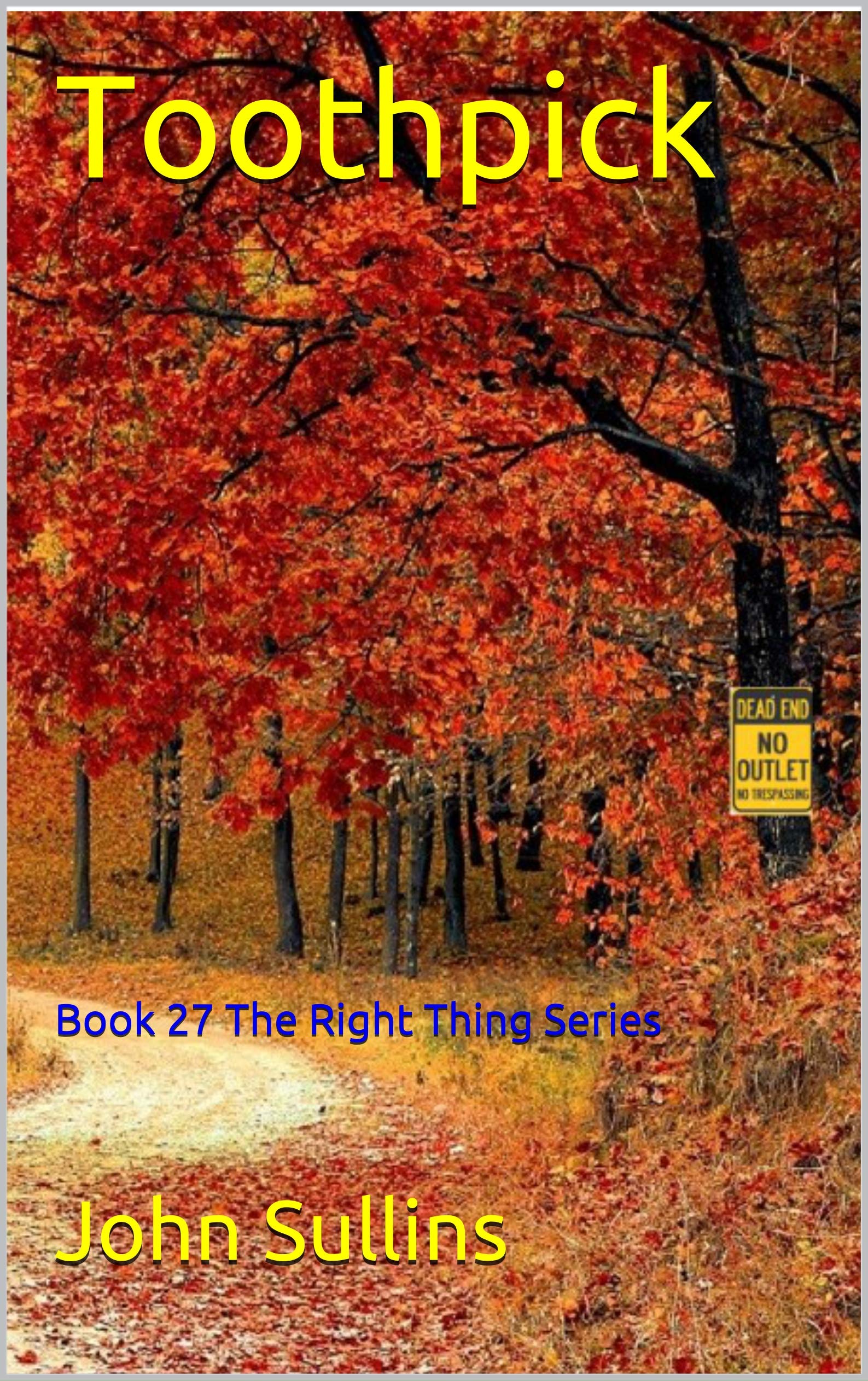 Toothpick Book 27 The Right Thing Series by John Sullins Goodreads