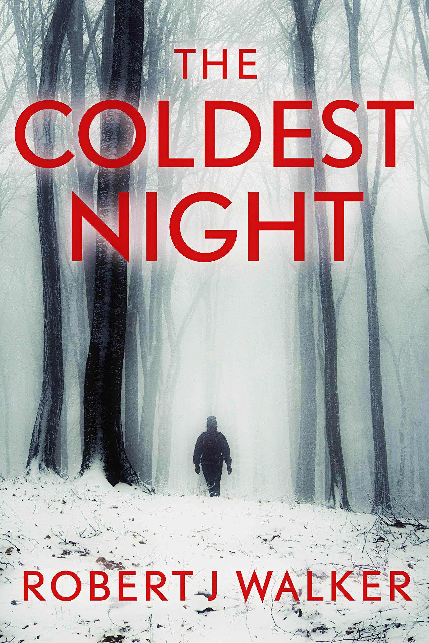 The Coldest Night book cover