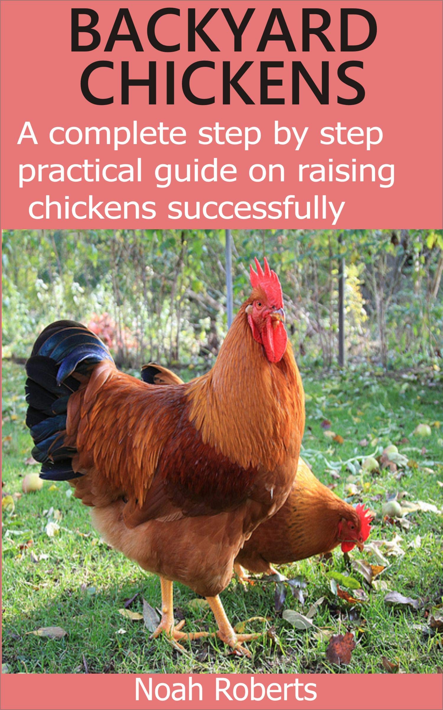 BACKYARD CHICKENS: A complete step by step practical guide on raising ...