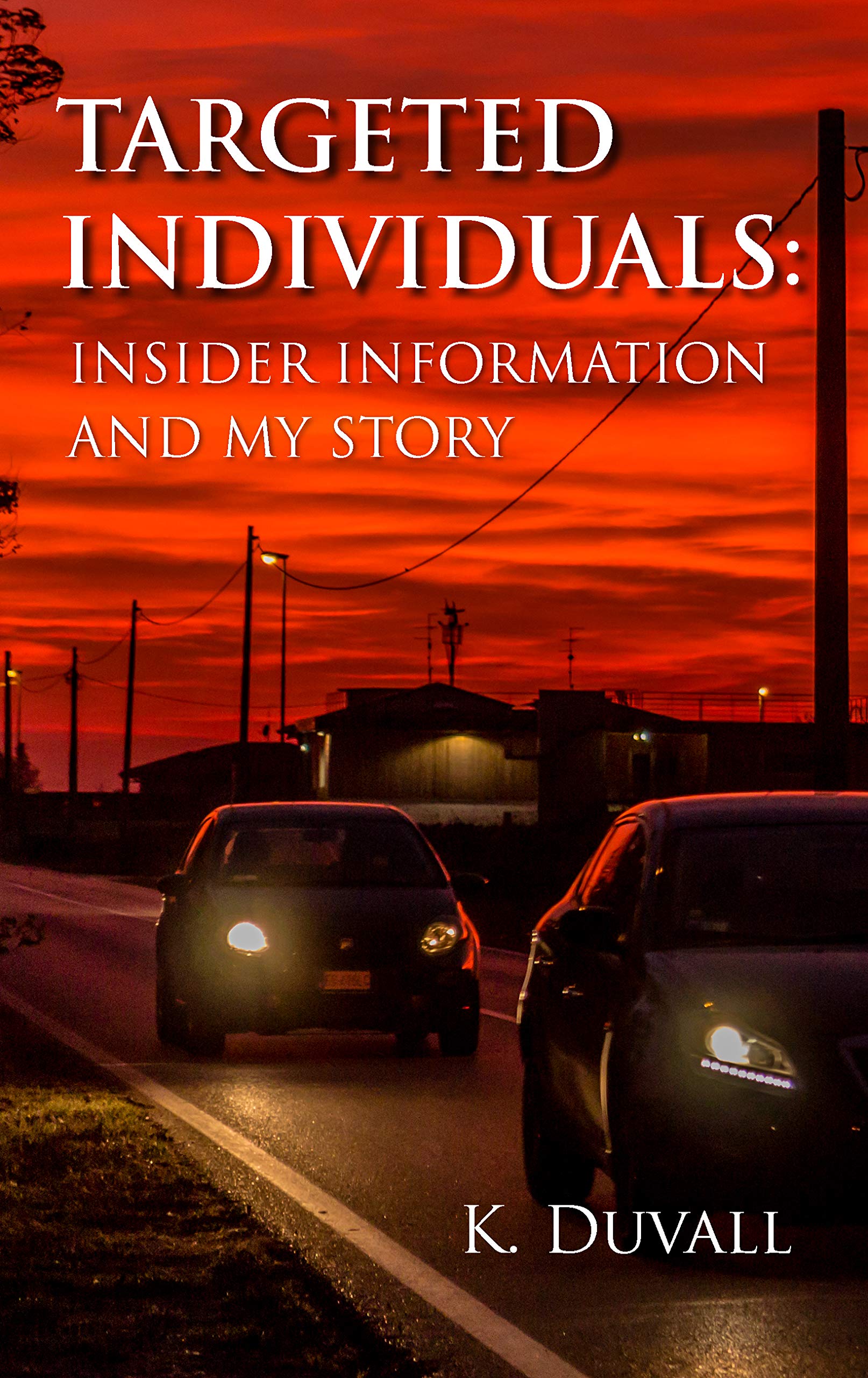 Targeted Individual Handbook.pdf Targeted Individuals: Insider Information and My Story by K Duvall ...